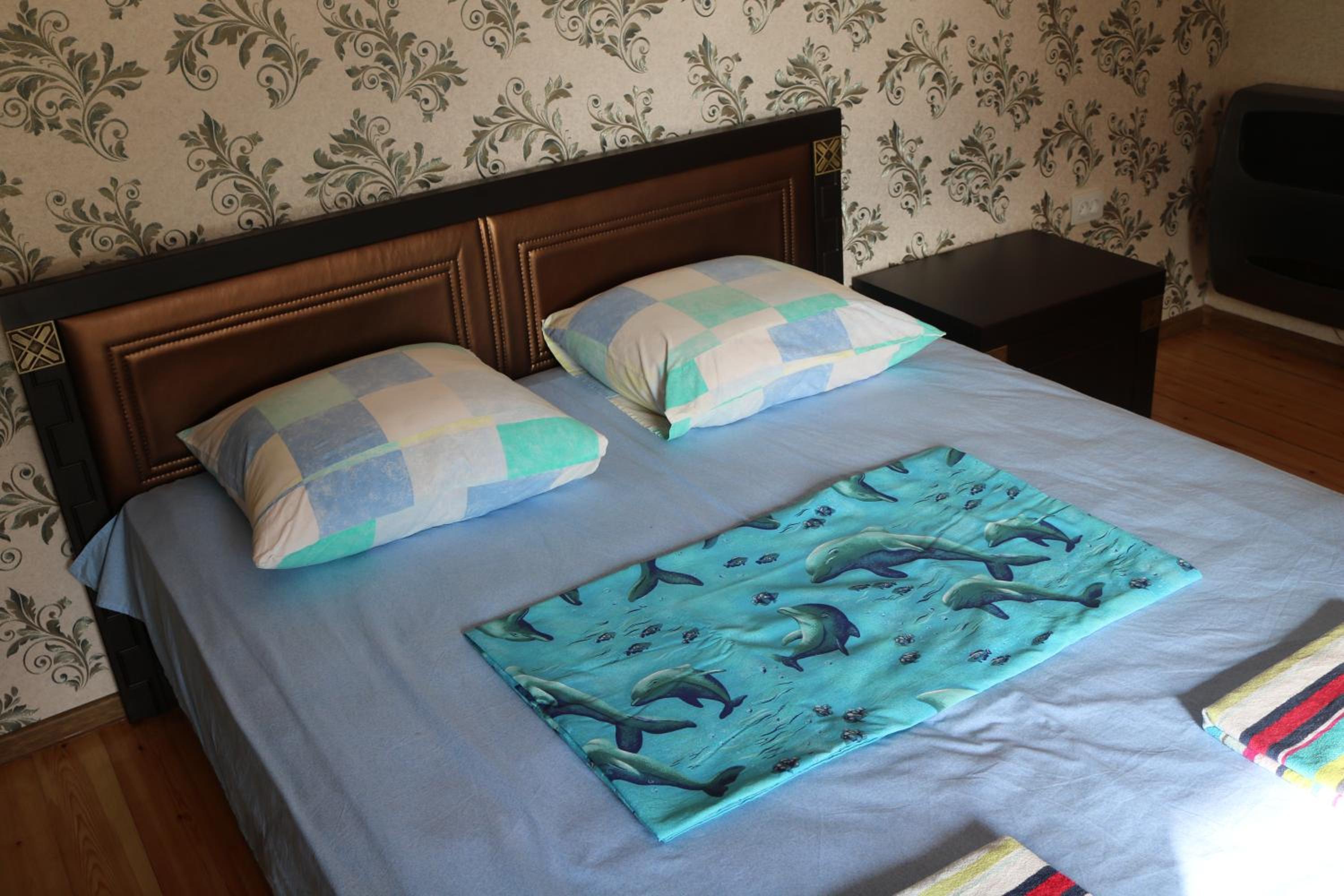 Guesthouse Vashlovani