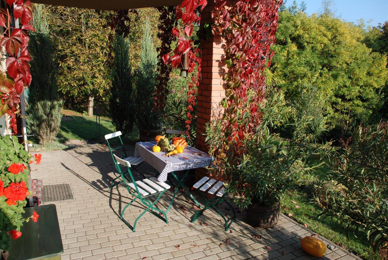 Photo 49