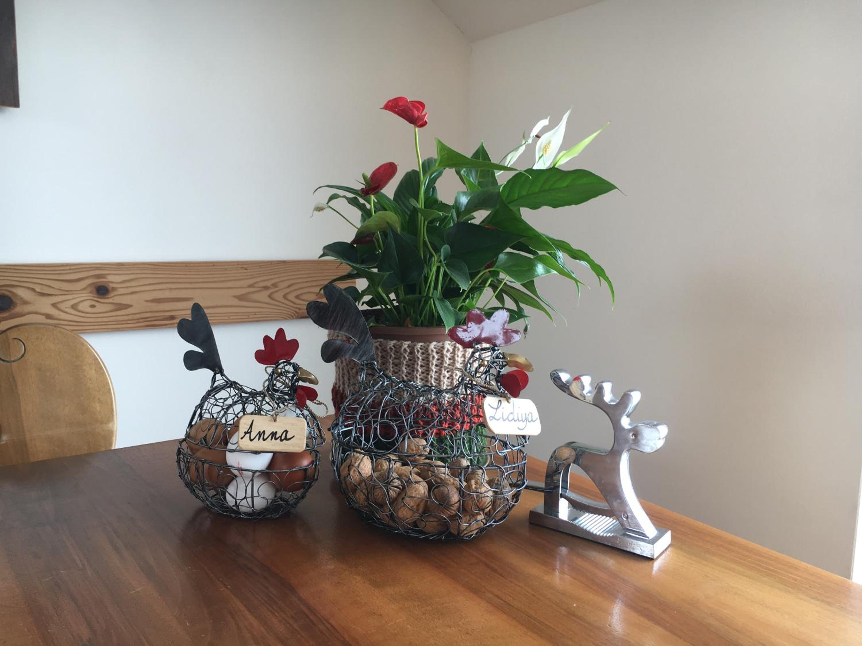 B&B Friedau