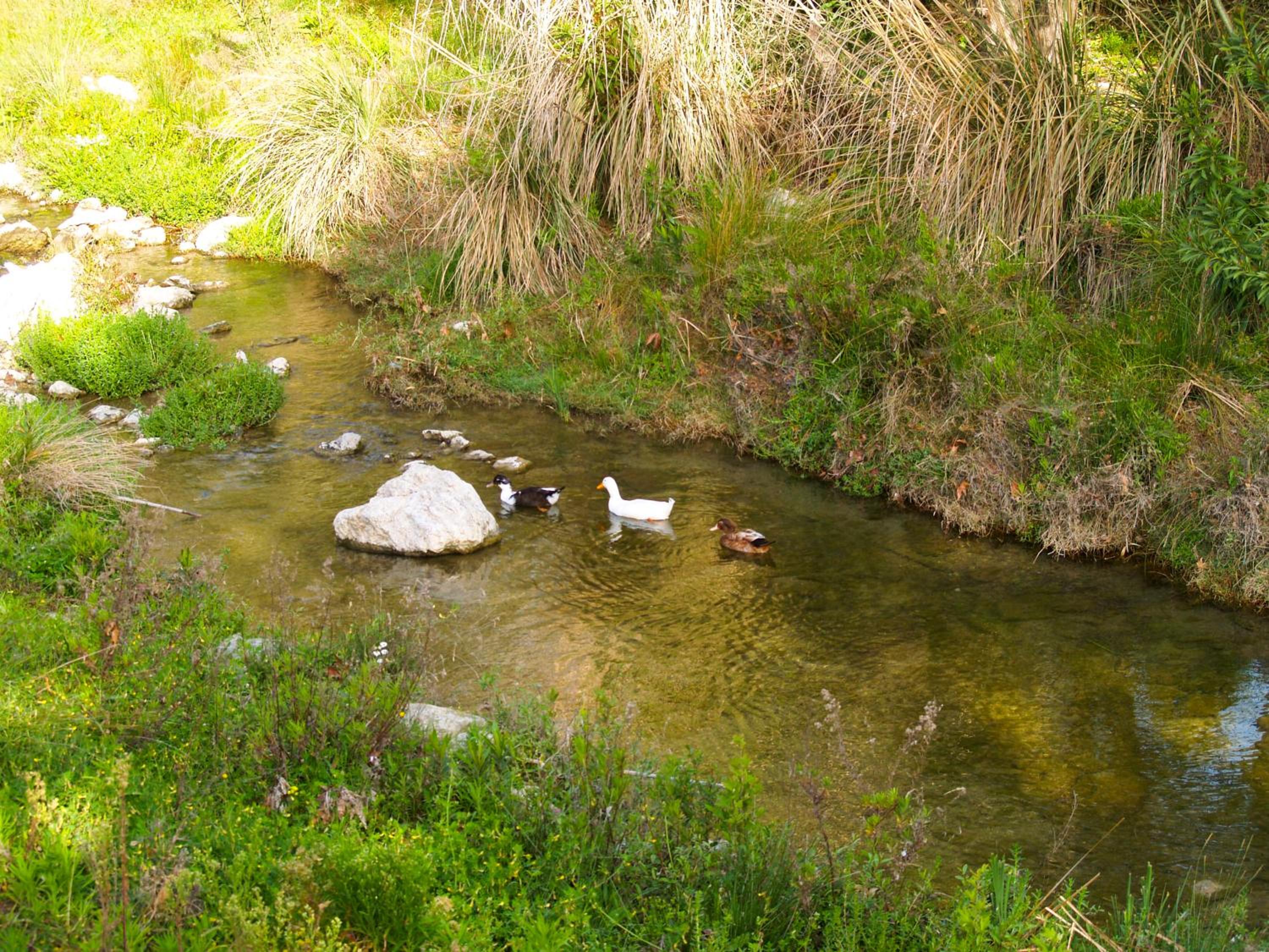 Photo 22
