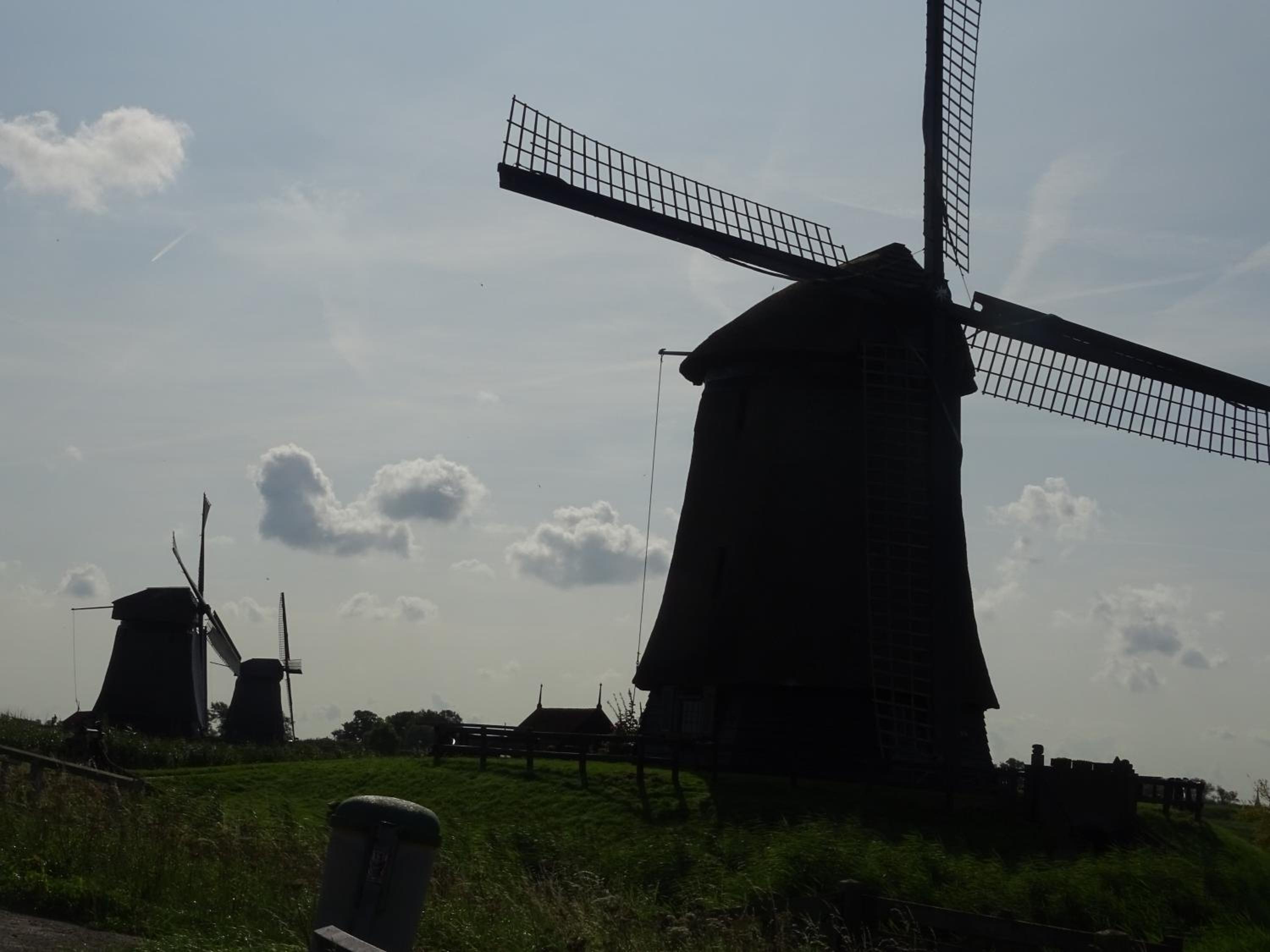 Photo 26