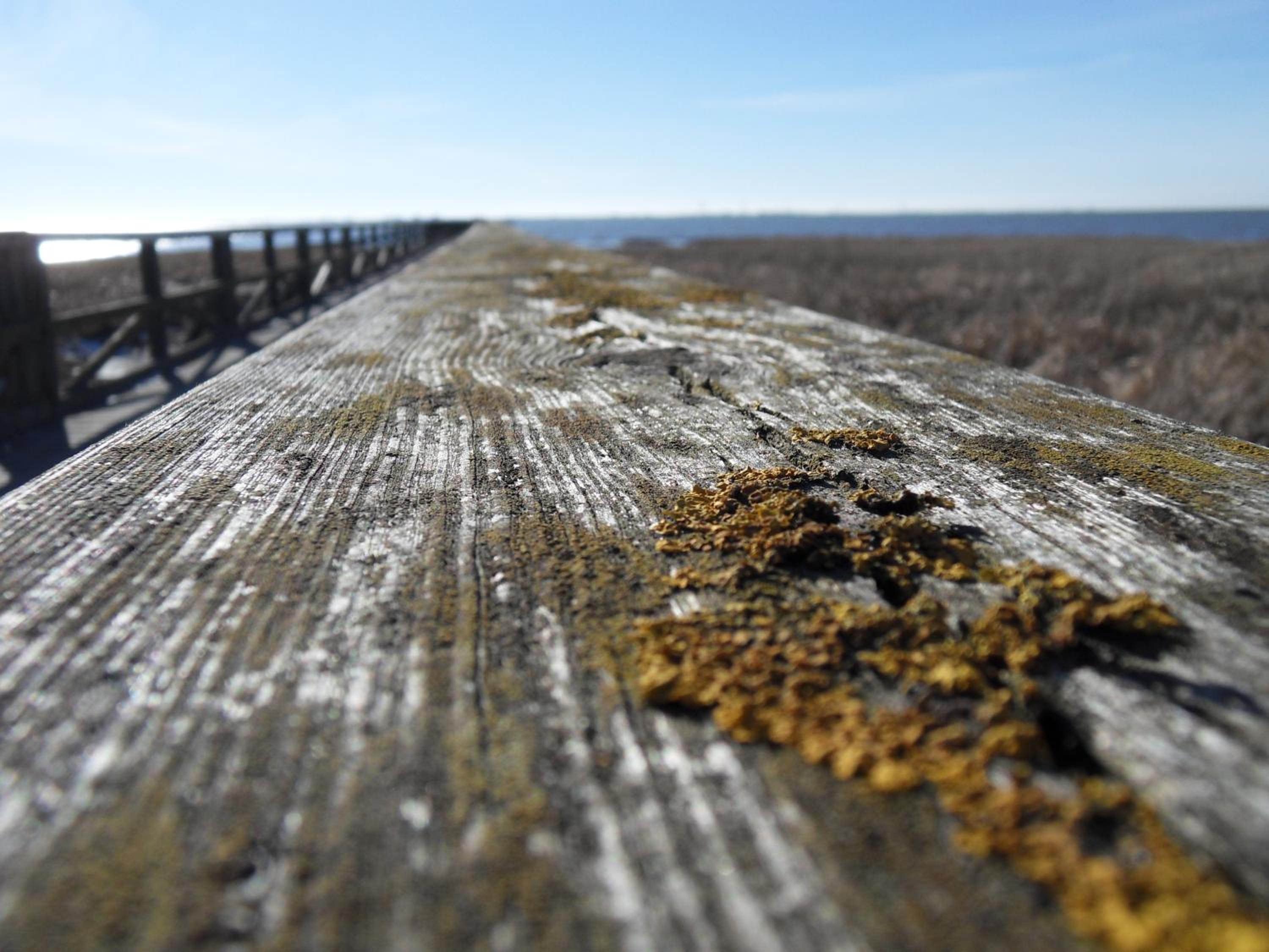 PrivArtZimmer 'Ausfahrt freihalten'