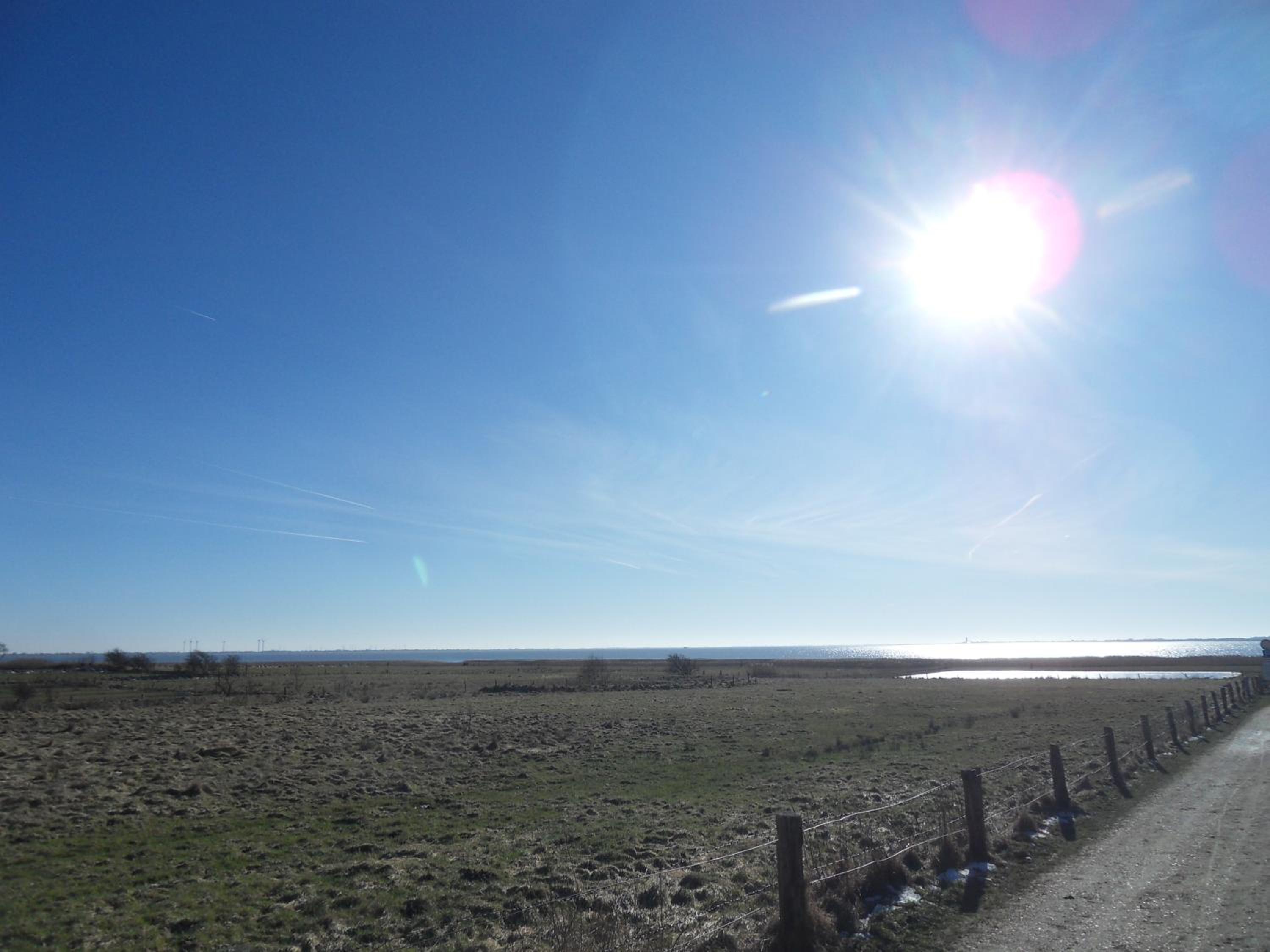 PrivArtZimmer 'Ausfahrt freihalten'