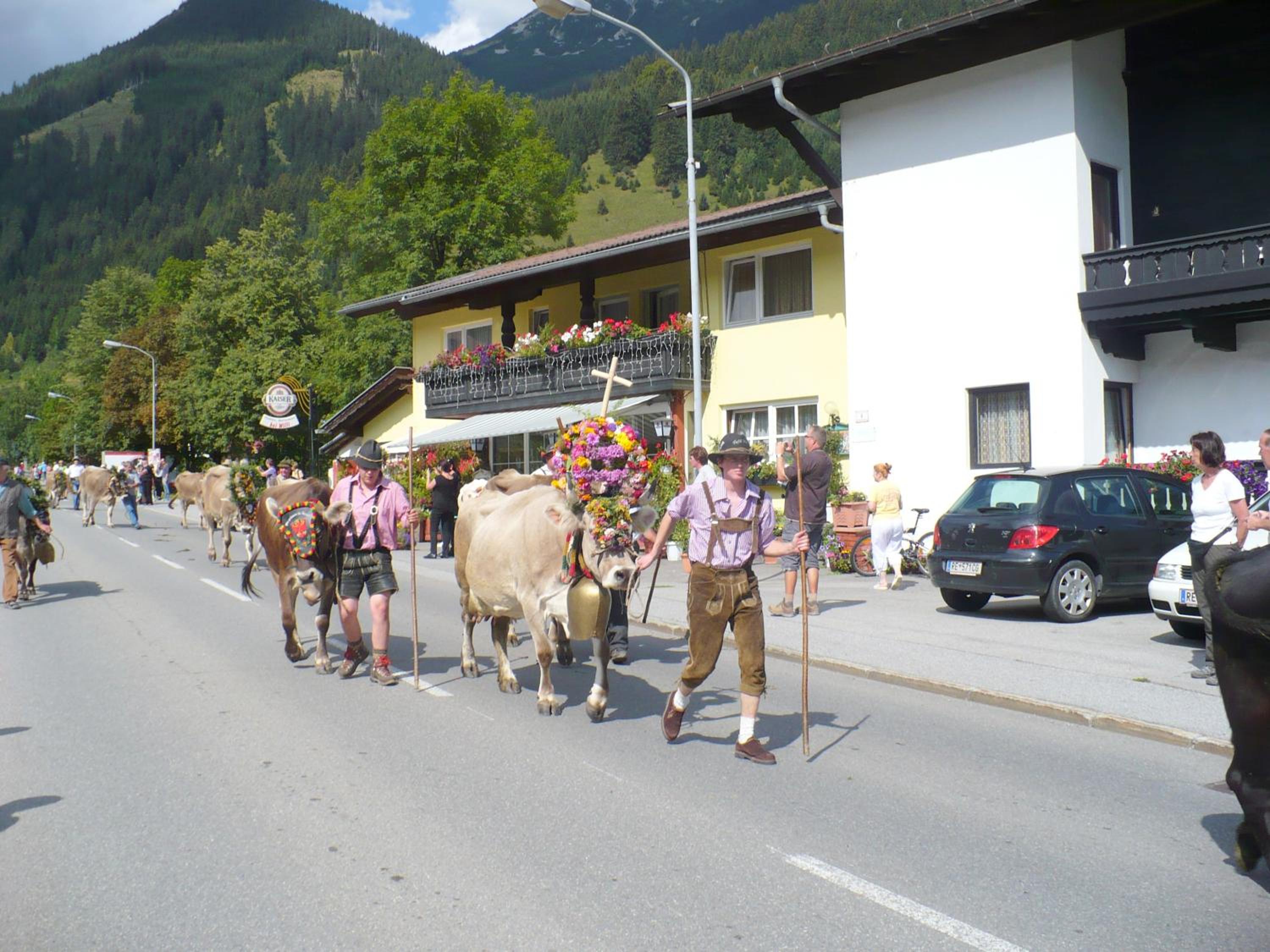 Haus Panorama view 2