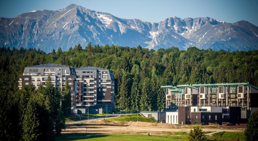 Luxury Mountain Apartment