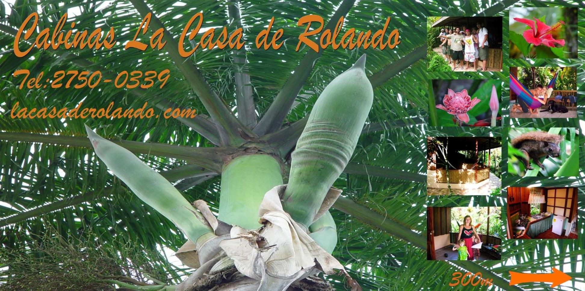La Casa de Rolando