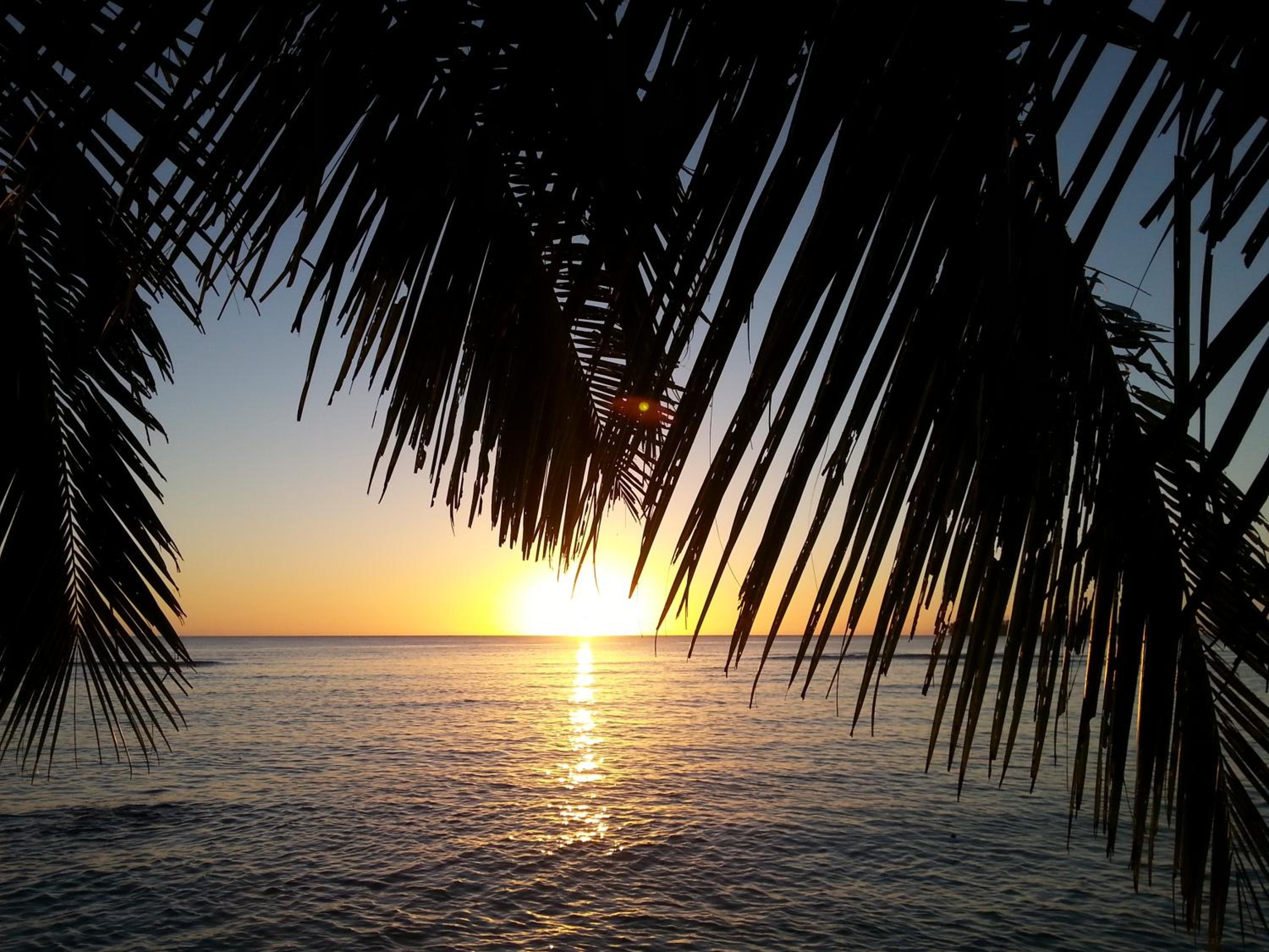 Turtle Bay Lodge
