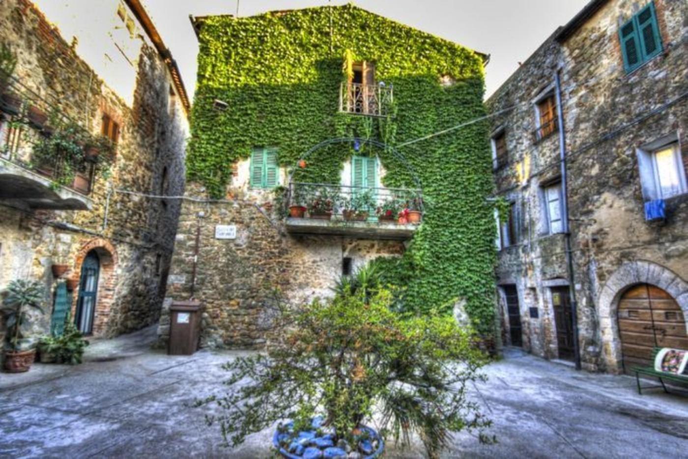 Montemerano-Saturnia House Apartment view 4