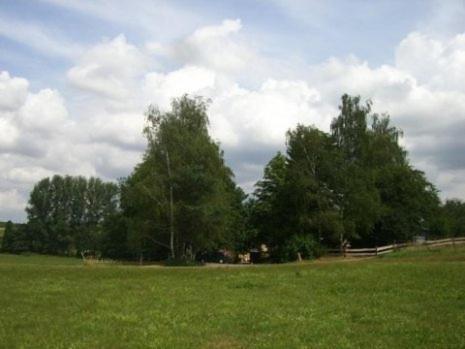 Ölmühle