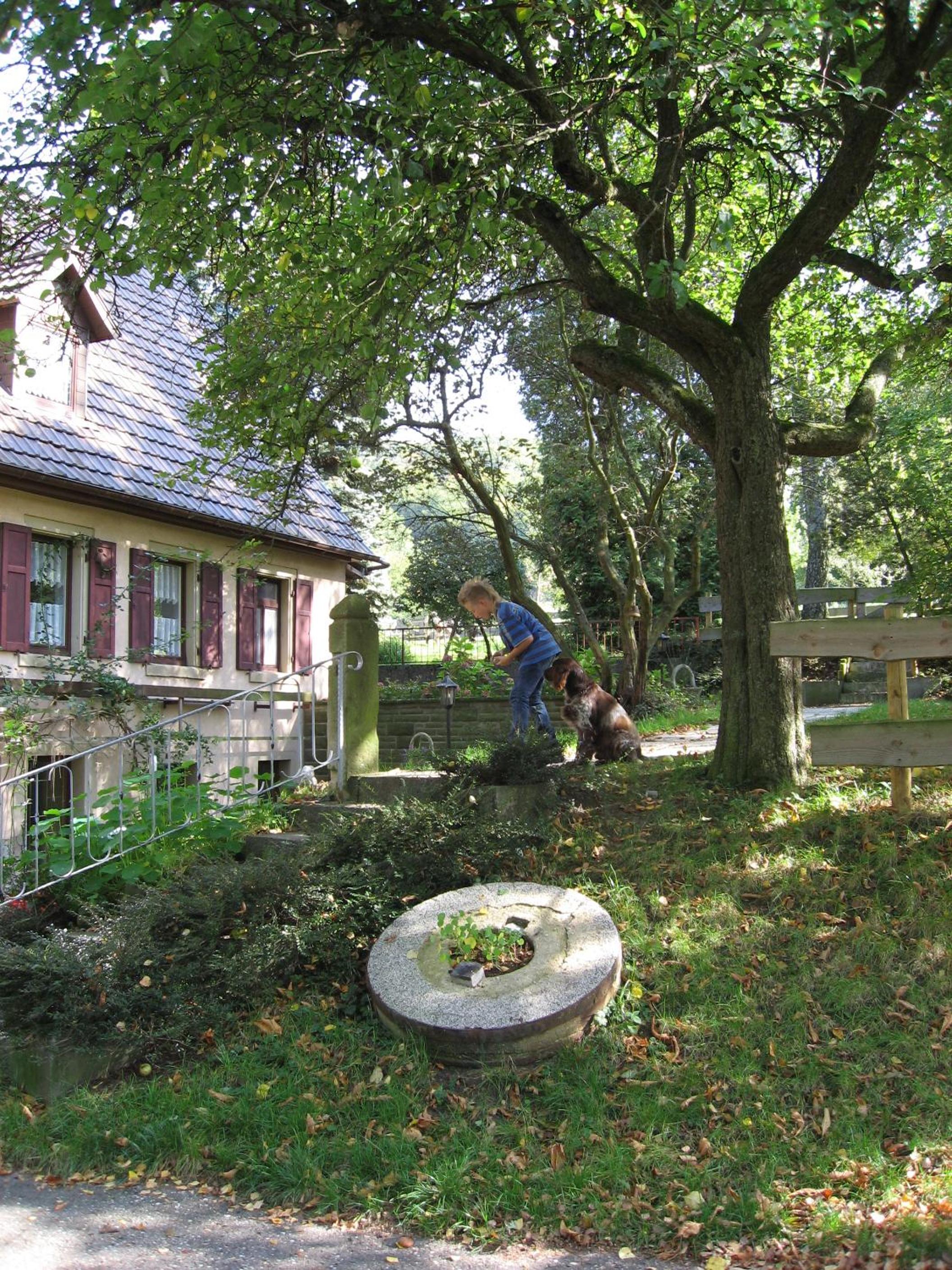 Ölmühle