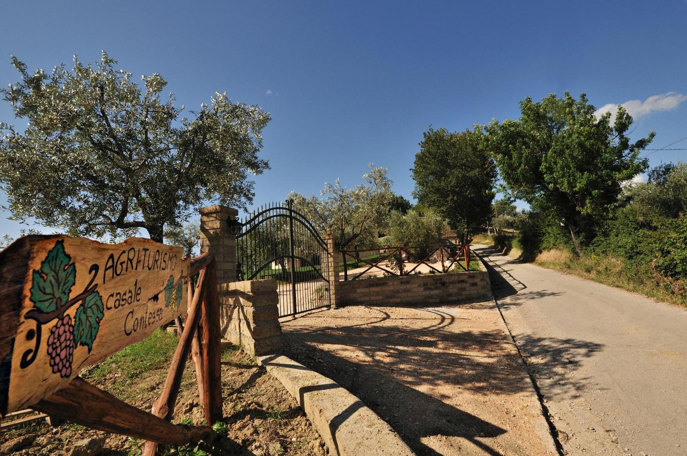 Photo 8