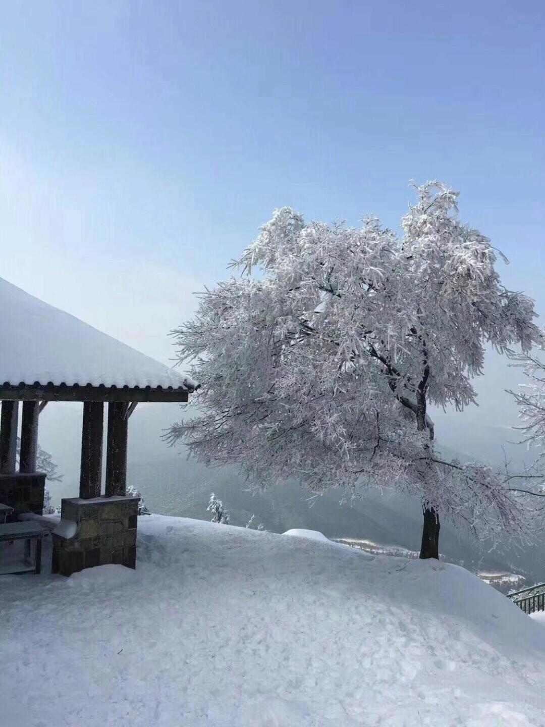 Mogan Mountain Xiaomusensen