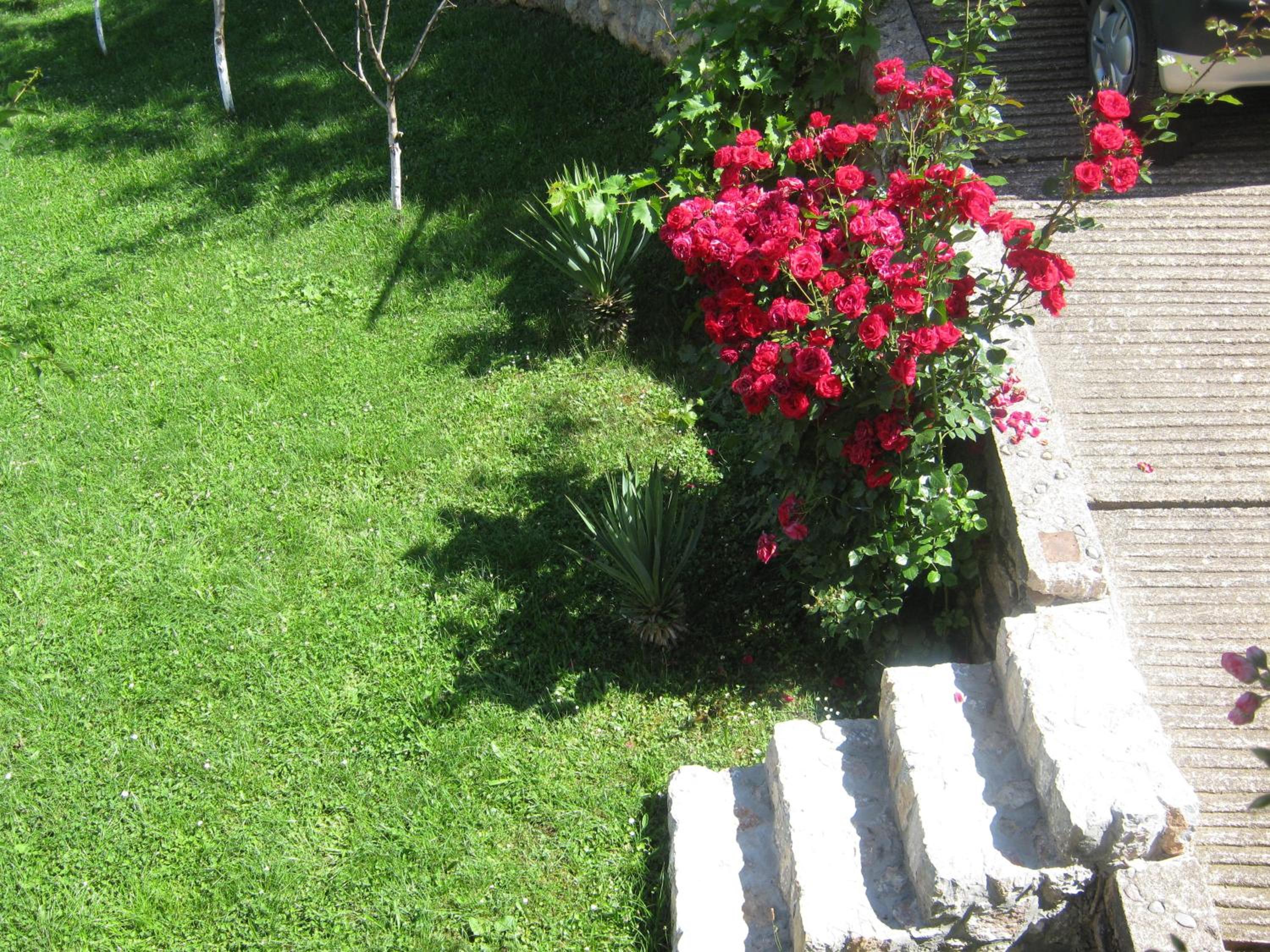 Photo 32
