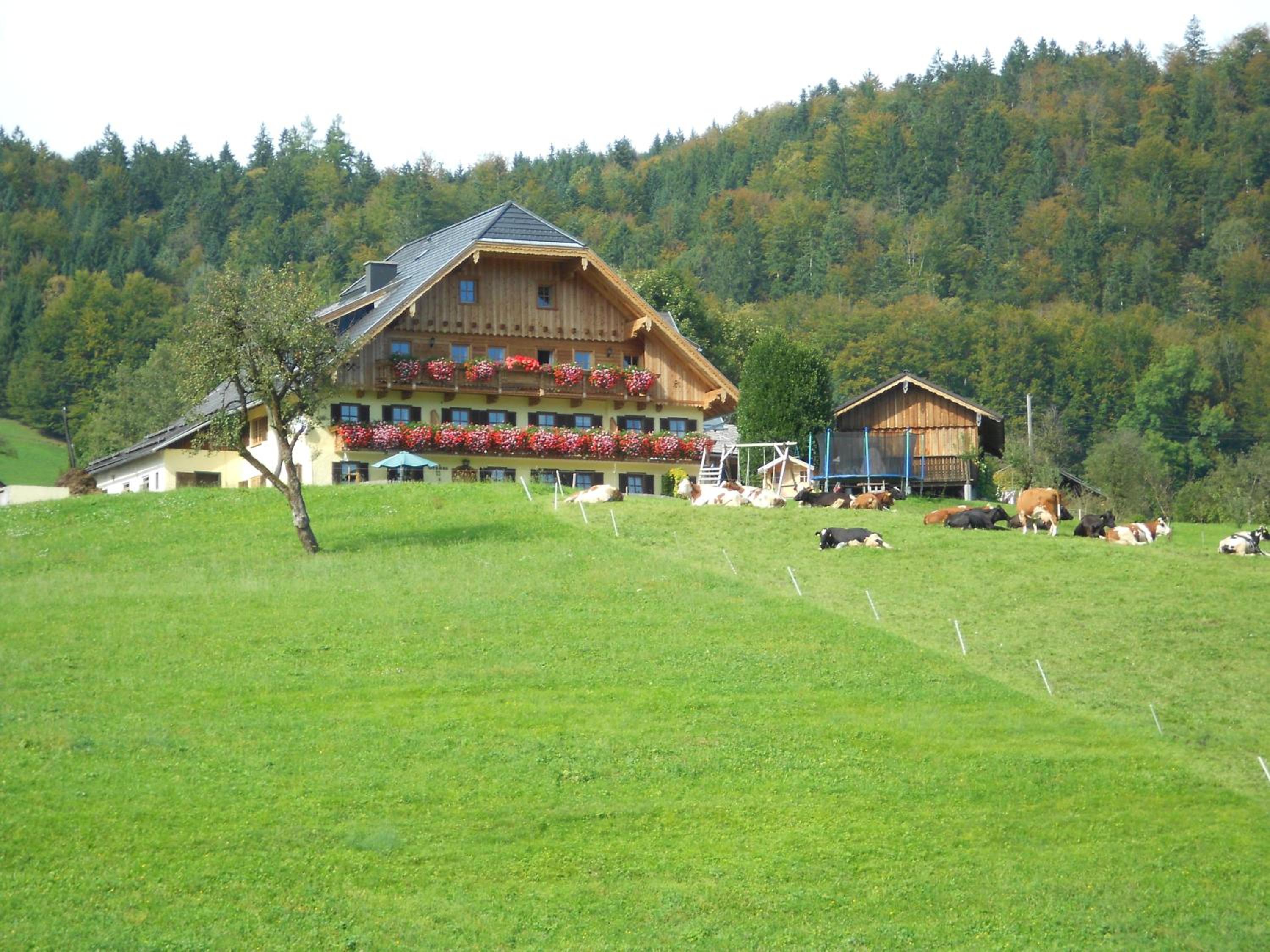 Paulbauer