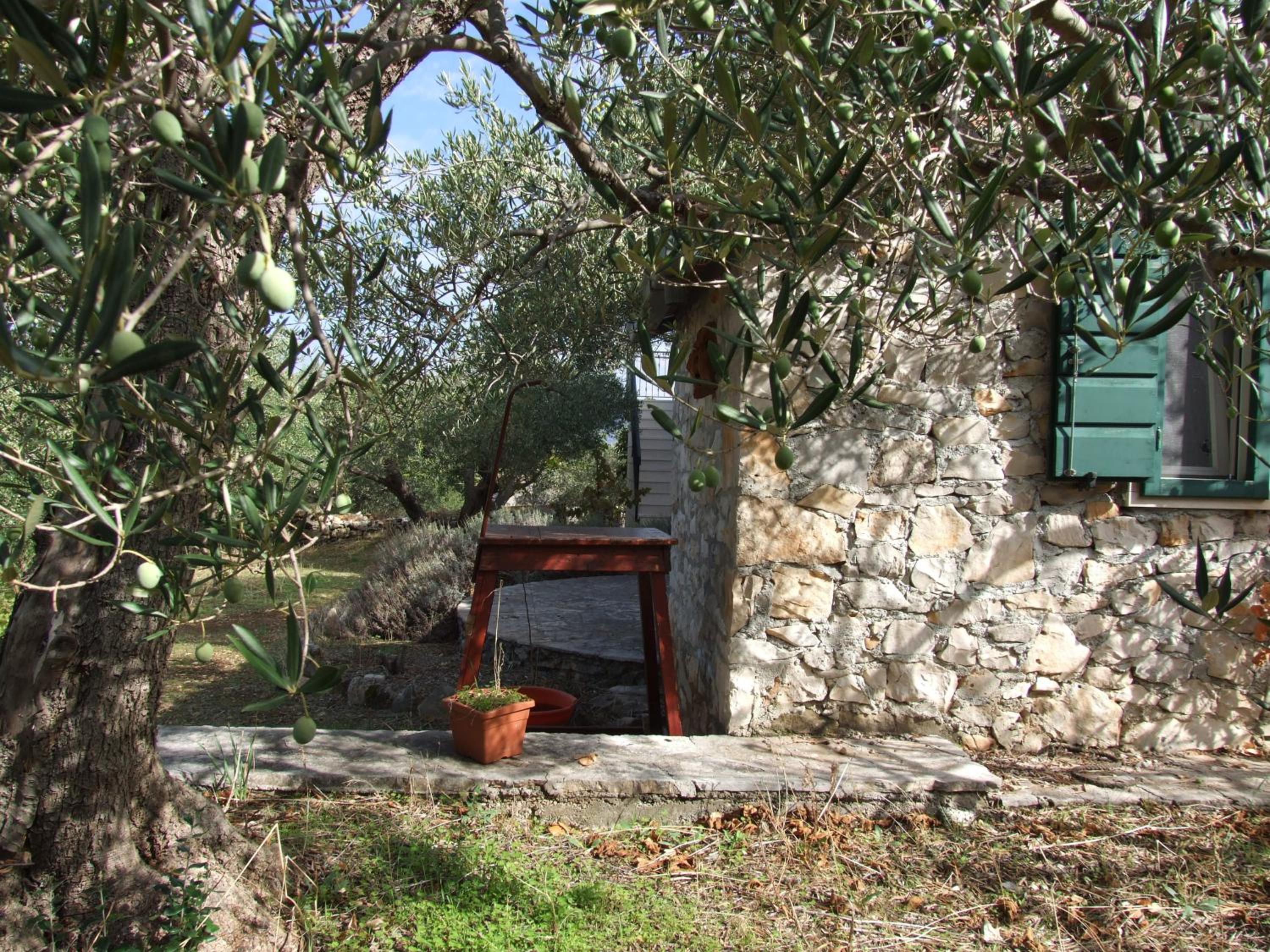 Photo 29