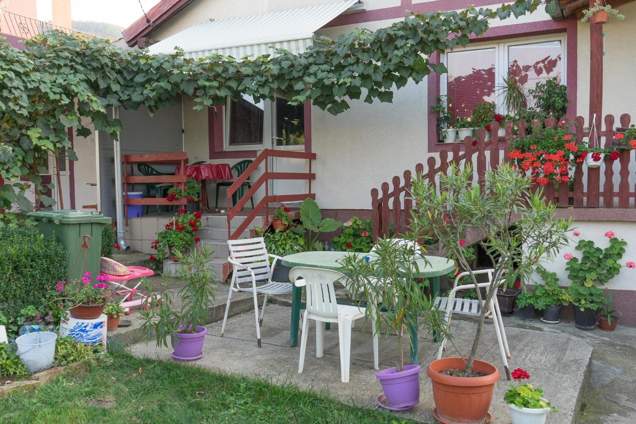 Photo 17