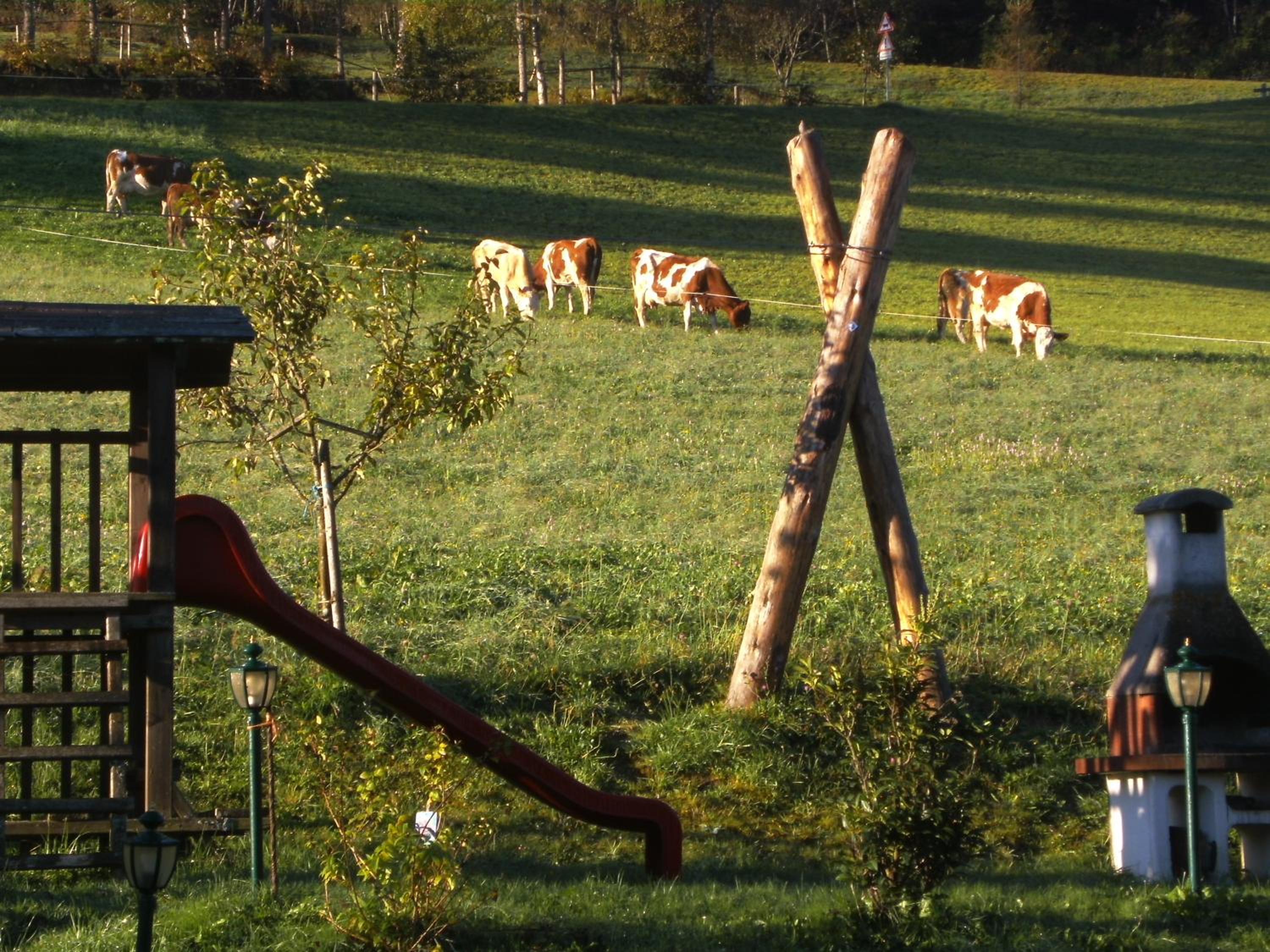 Vordersattlegghofhütte