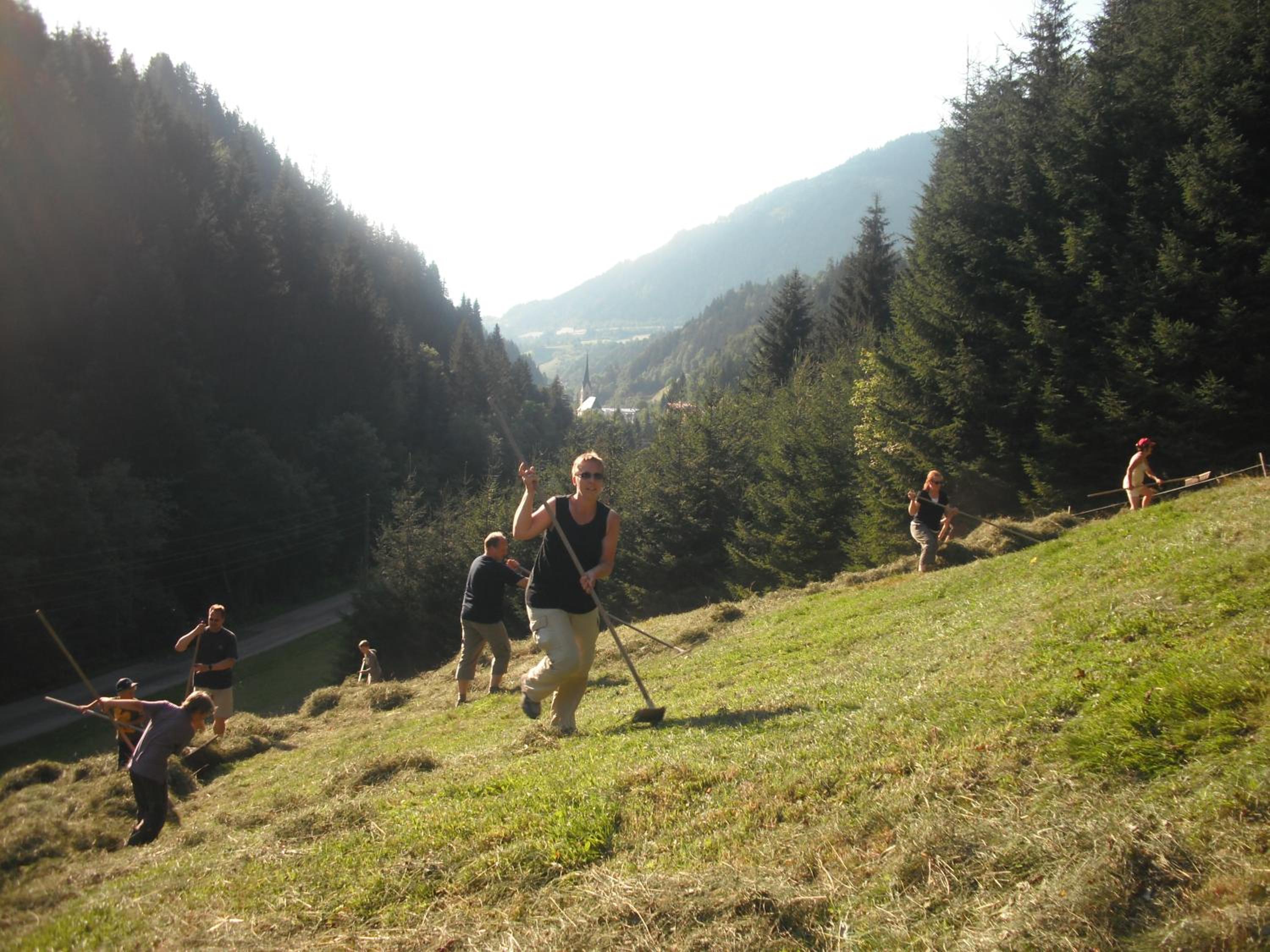 Vordersattlegghofhütte