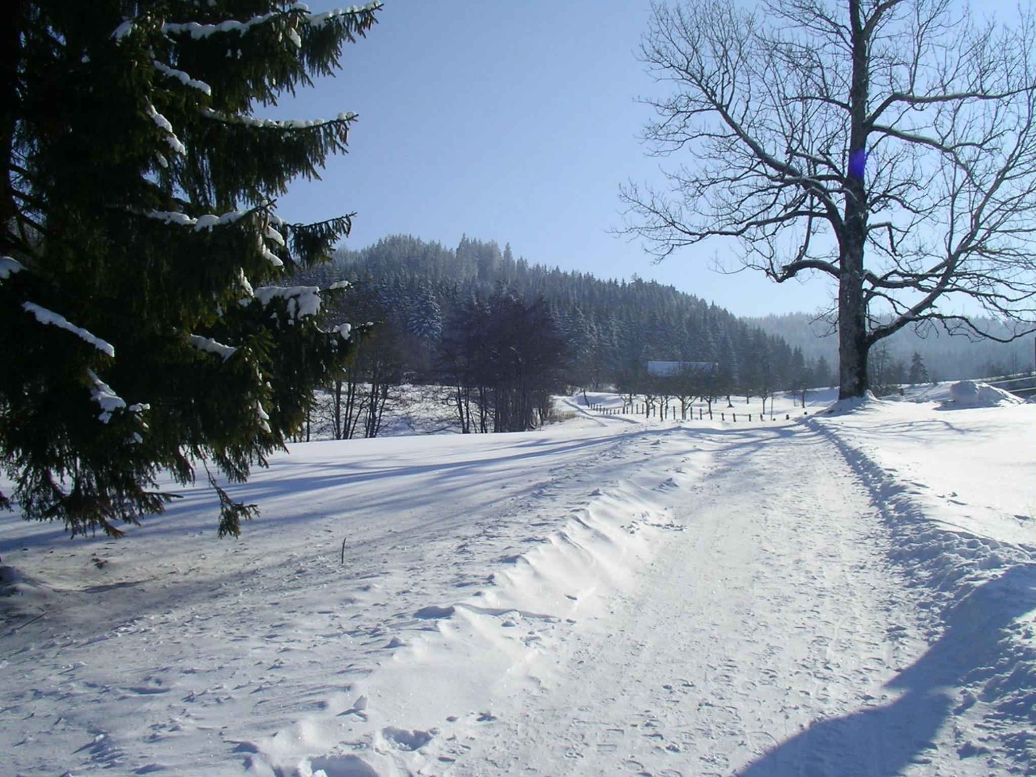 Ferienclub Maierhöfen