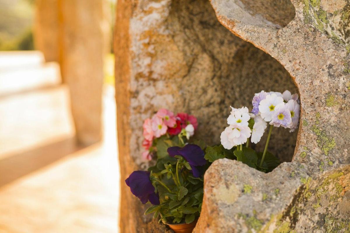 Villamarina Garden Relais view 3