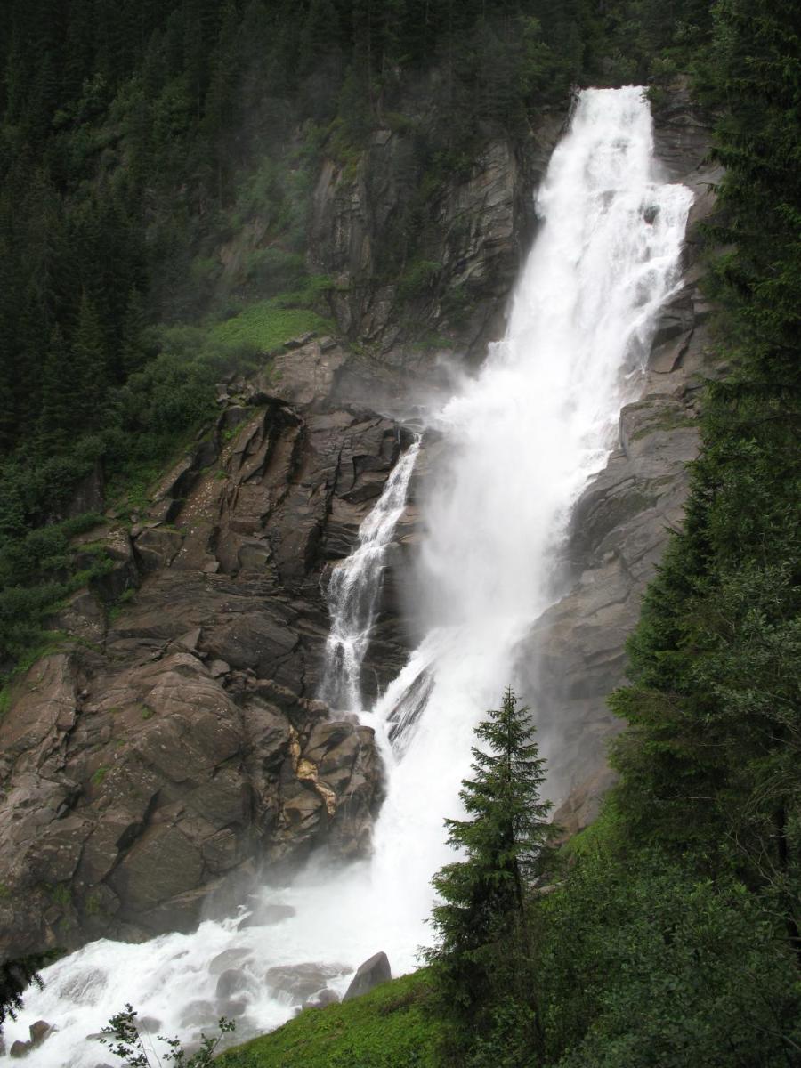 Oberschlassbergbauer, Wald im Pinzgau – photo 2