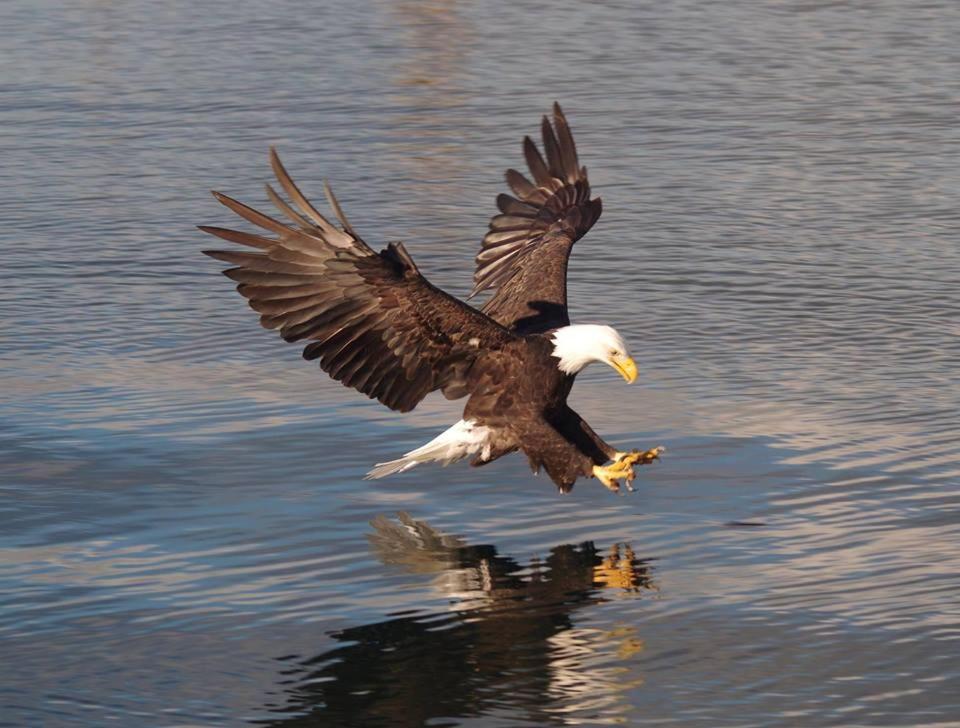 Sooke Vacations - Salty Towers Ocean Front Cottages - Property Image 3