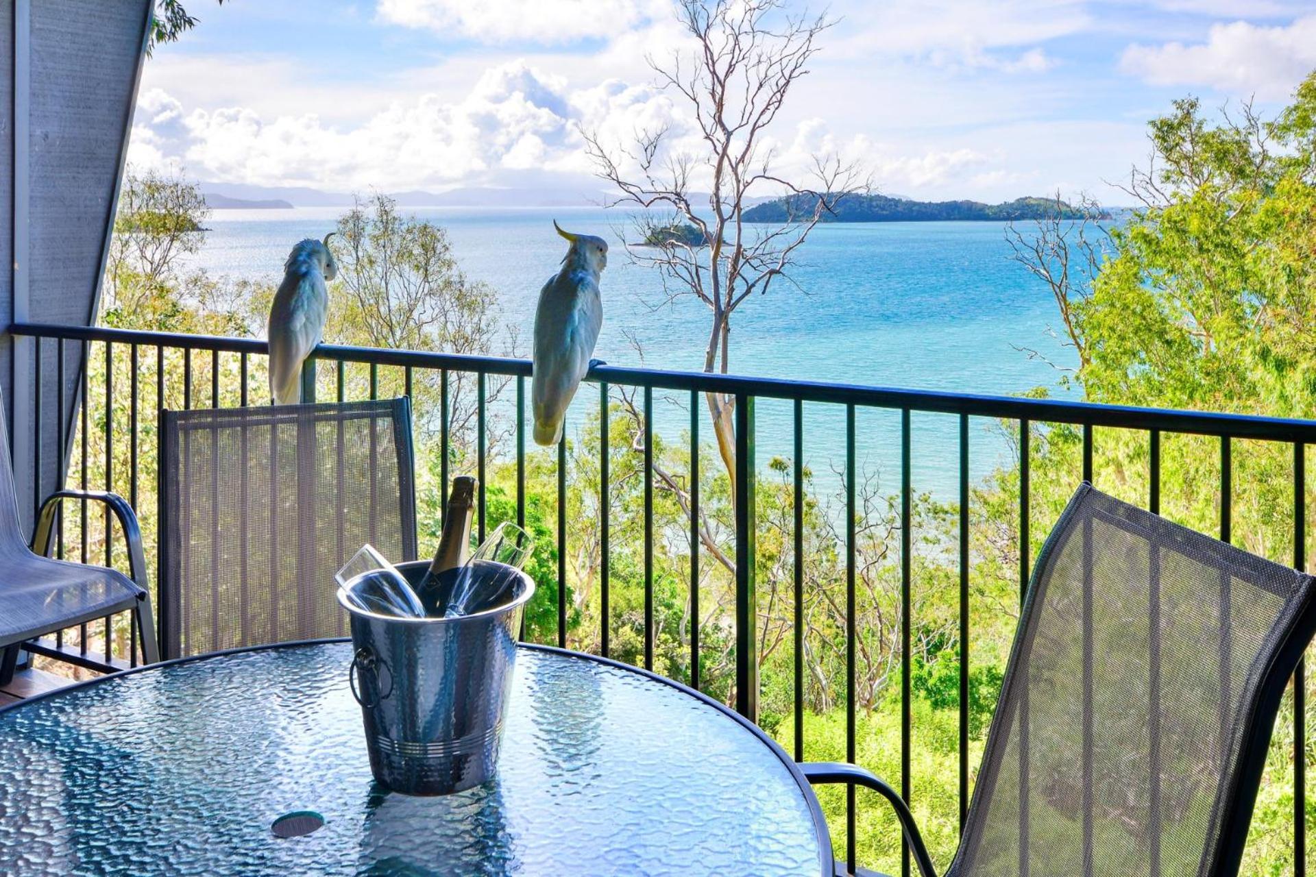 The Panorama 3, Hamilton Island 2 Bedroom 2 Bathroom Ocean View Modern Apartment