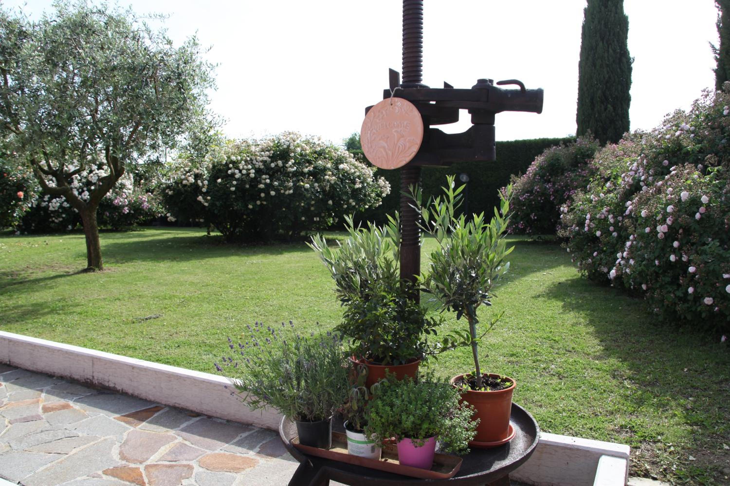 Photo 27