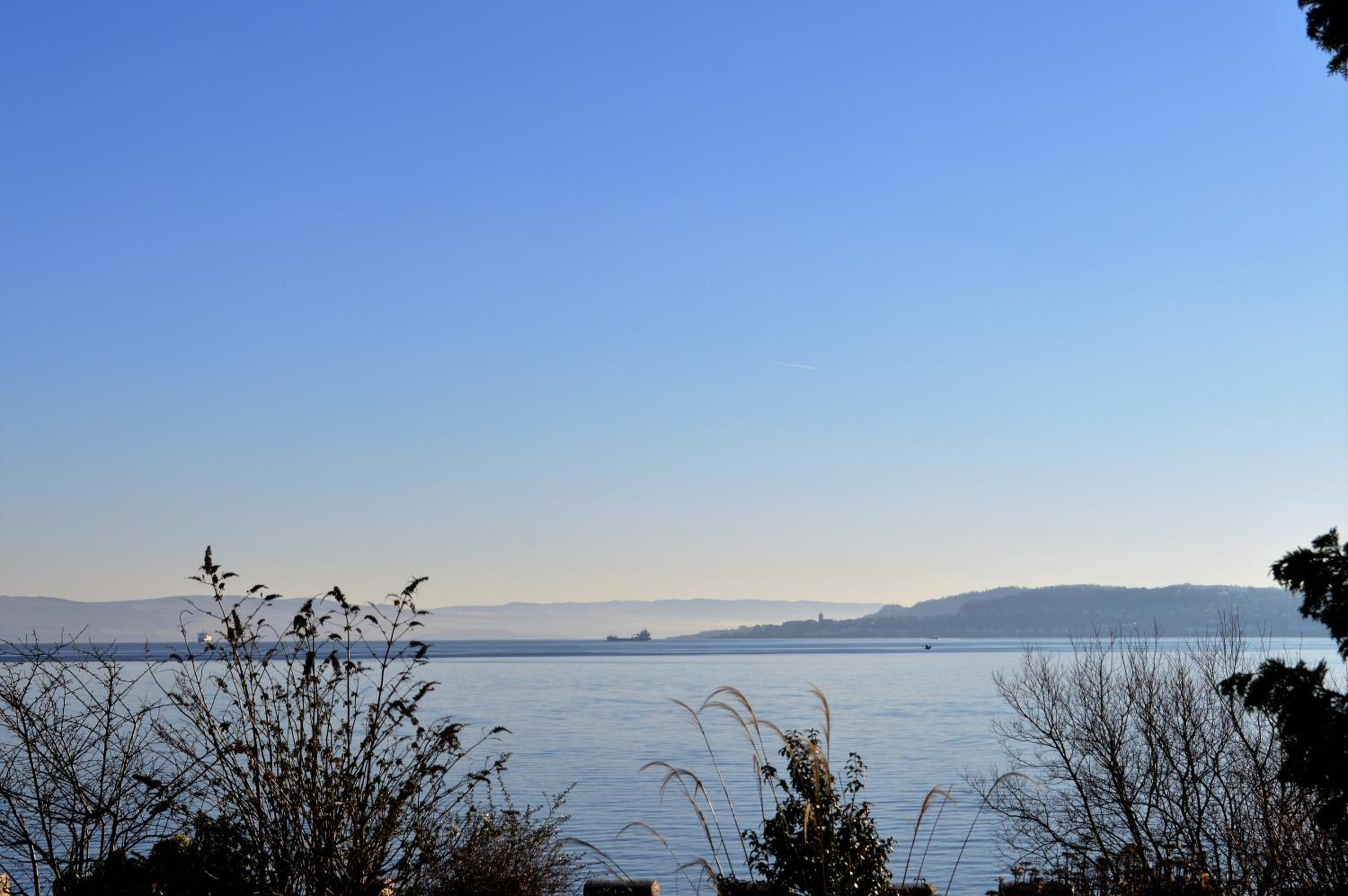 Queens View, photo 14