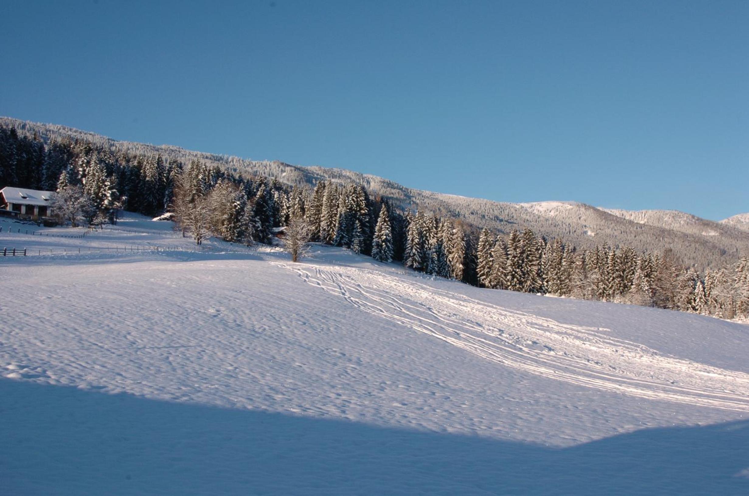 Verditzhütte