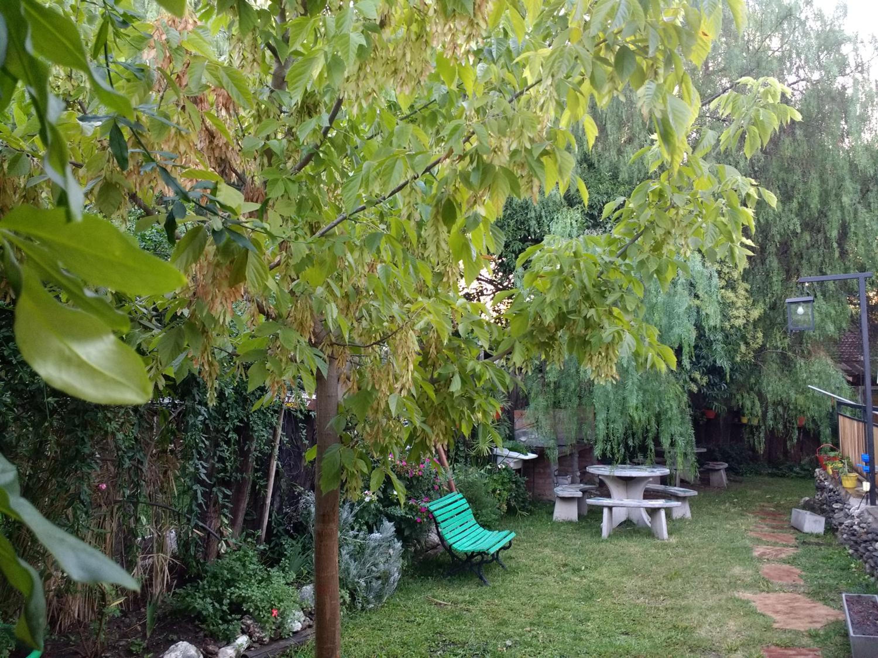 Complejo ARABELA