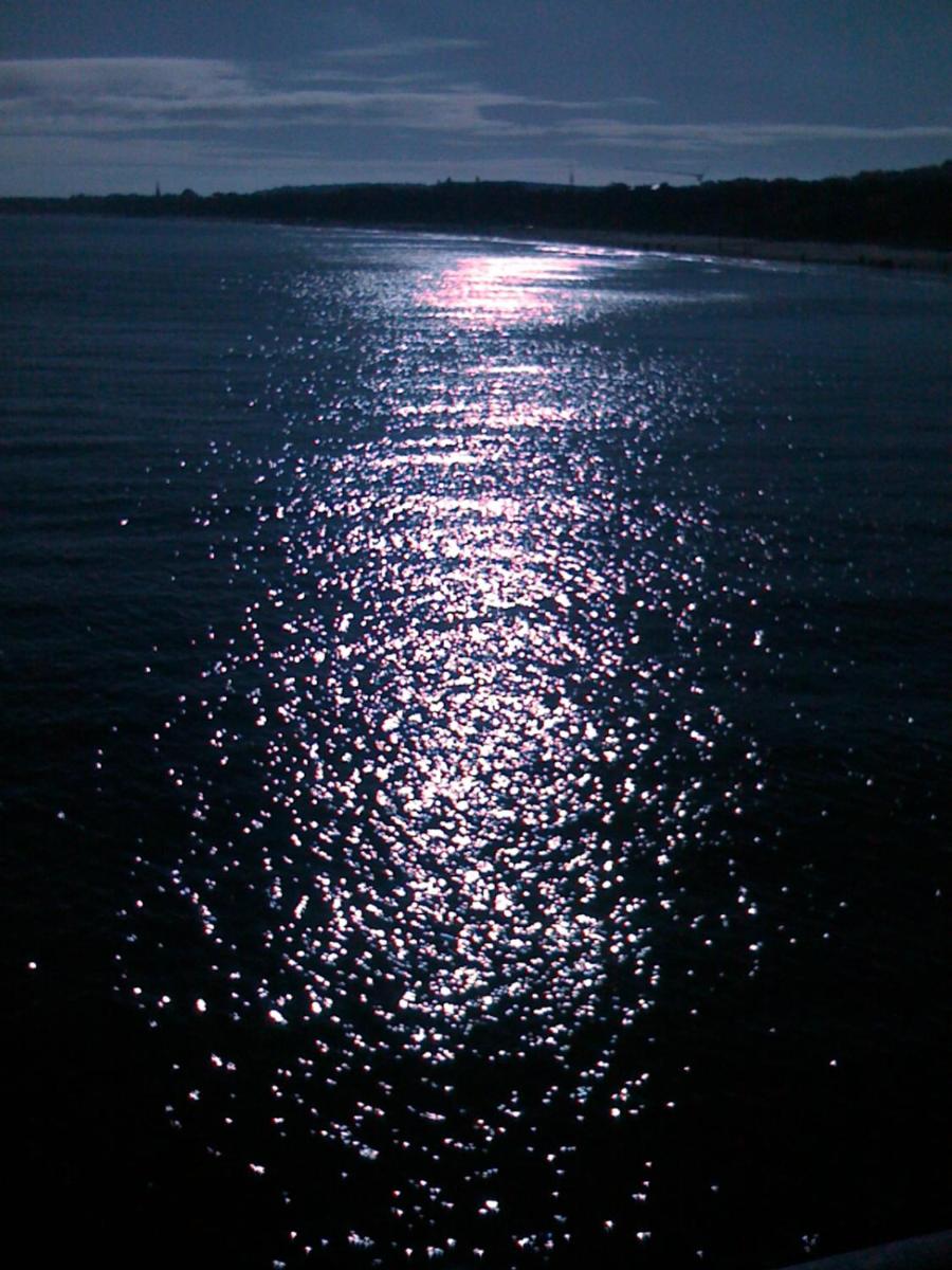 Photo 41