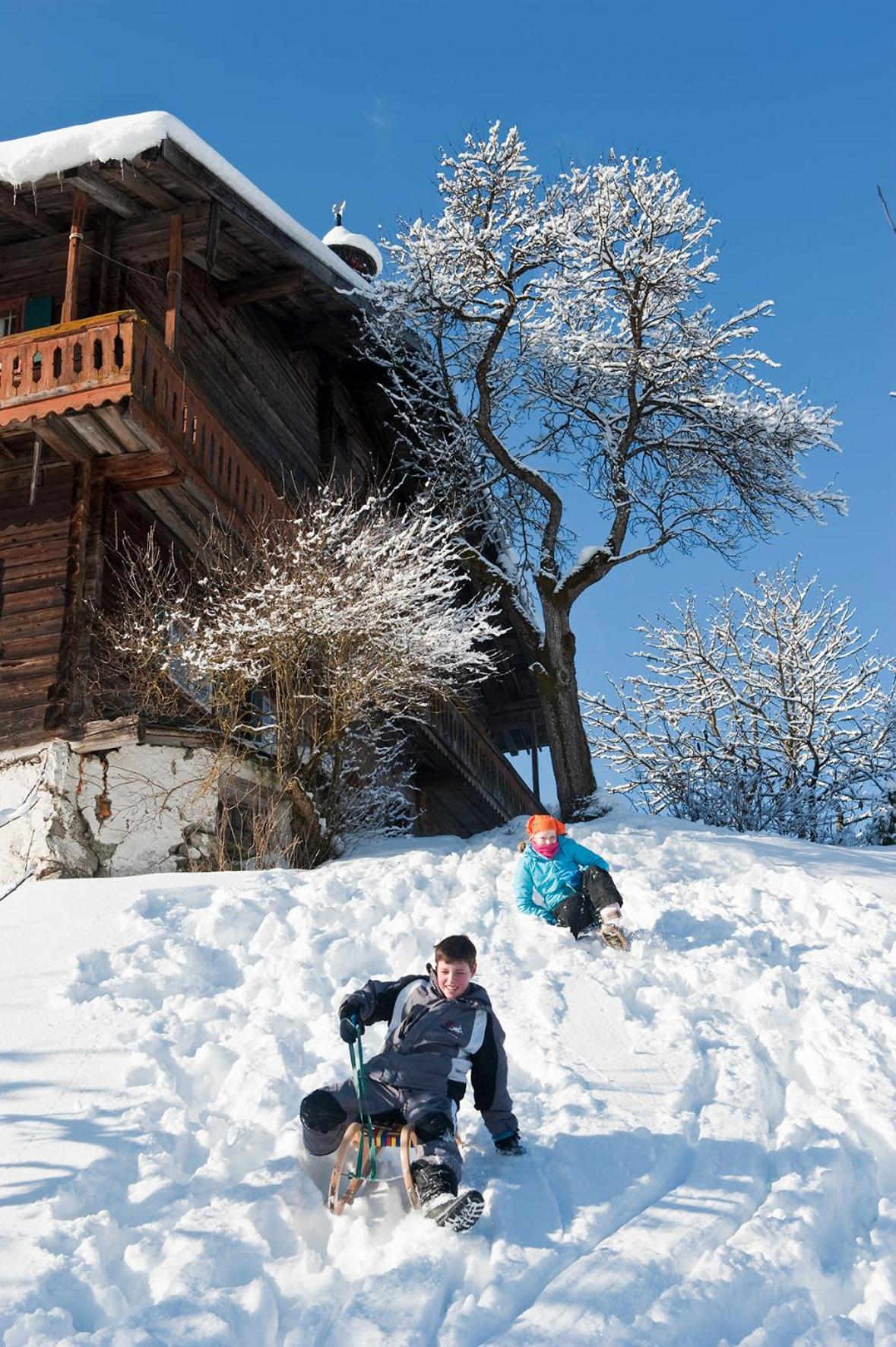 Vordersattlegghofhütte
