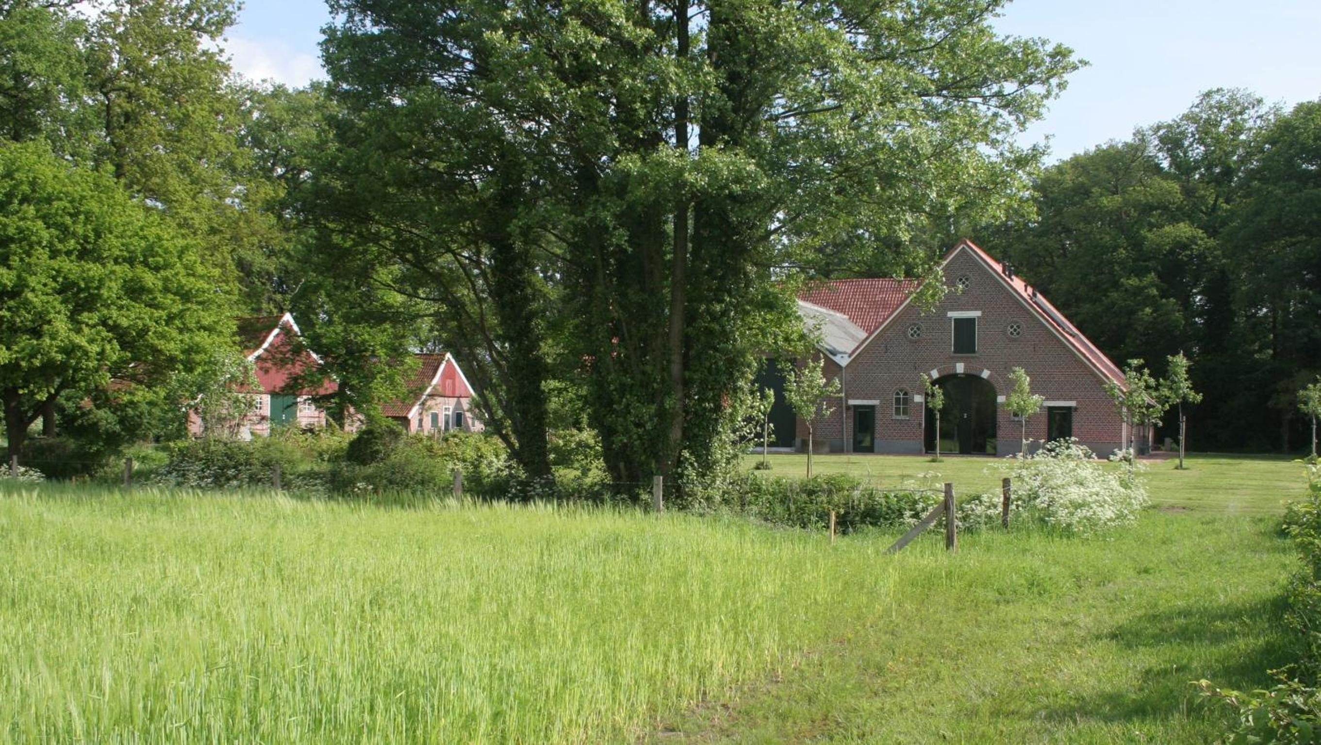Photo 42