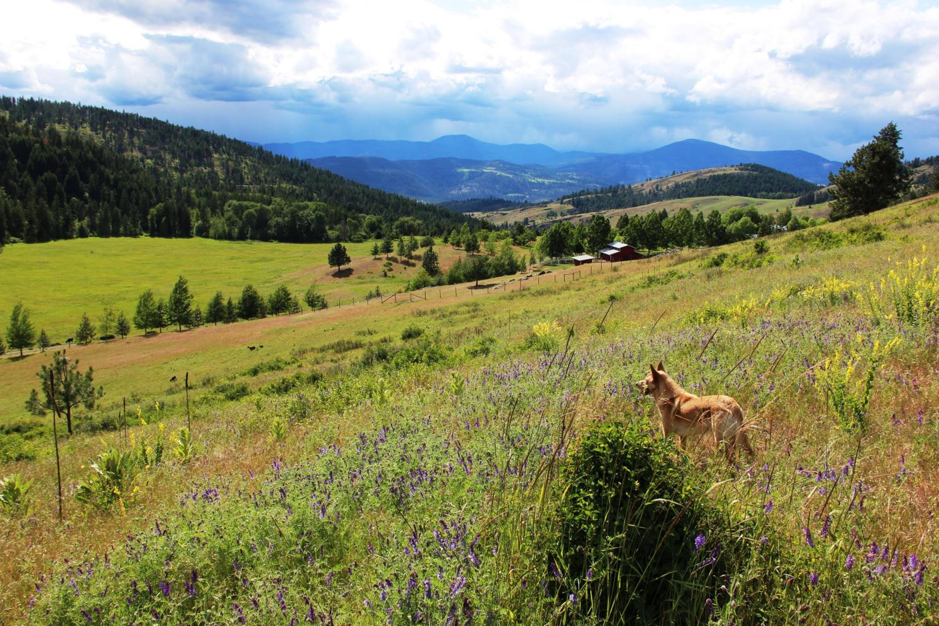 Pleasant Valley view 2
