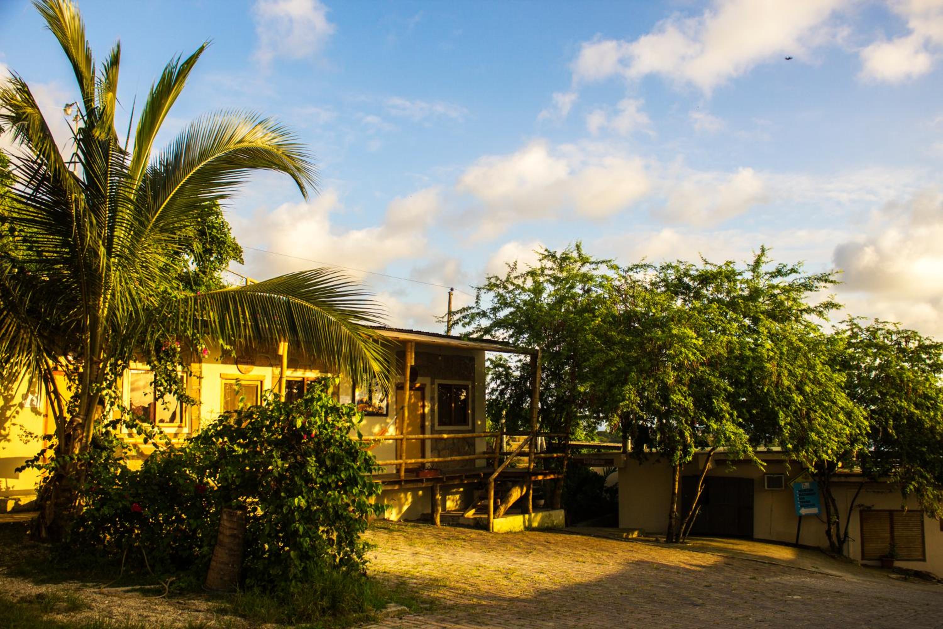 Punta Hills Montanita