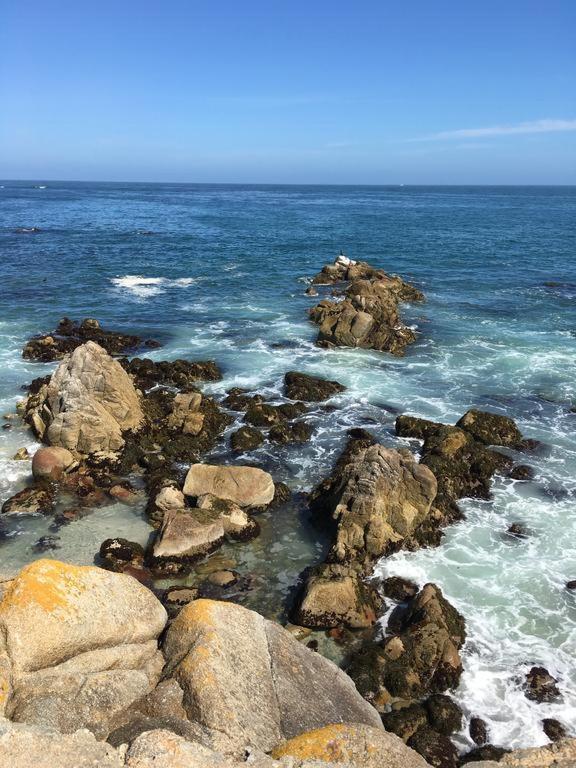 Monterey Fairgrounds Inn view 2