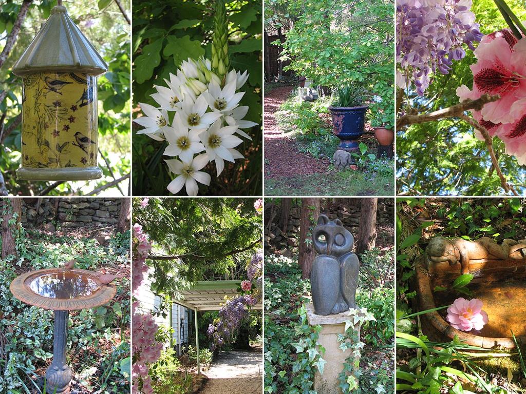Lemon Tree Cottage