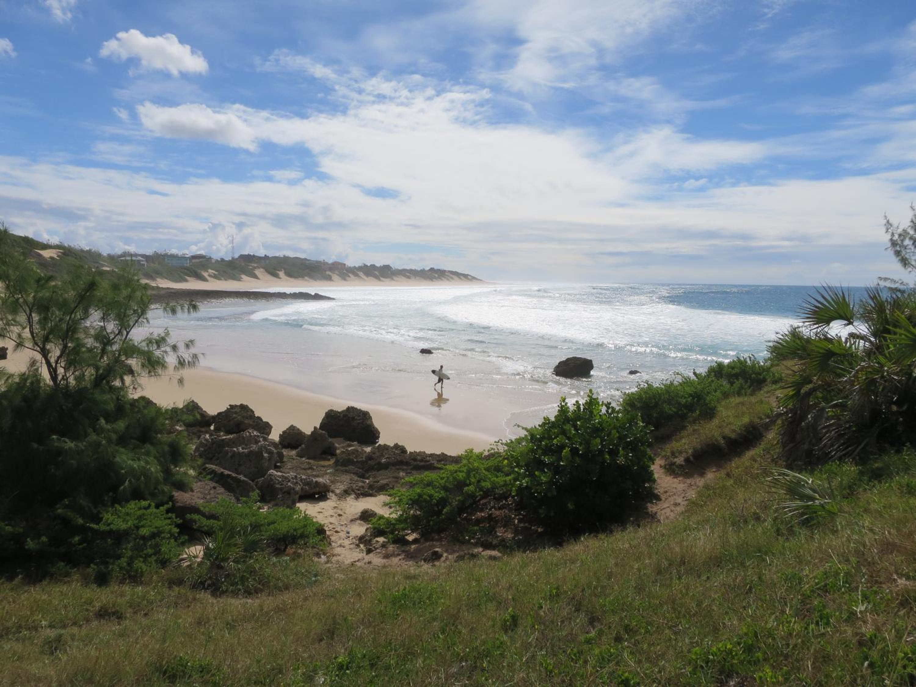 Photo 43