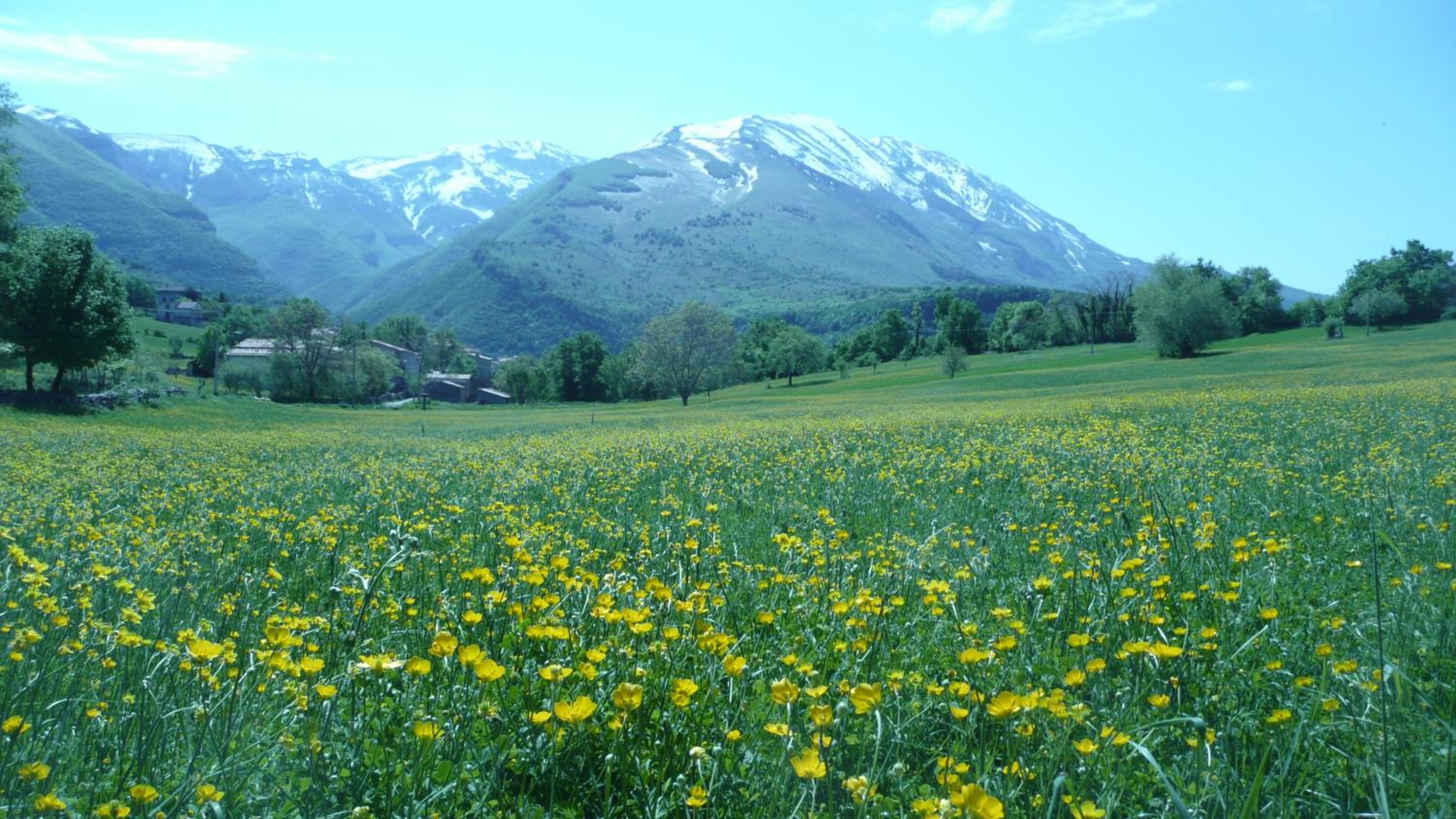 Poesia d'Abruzzo