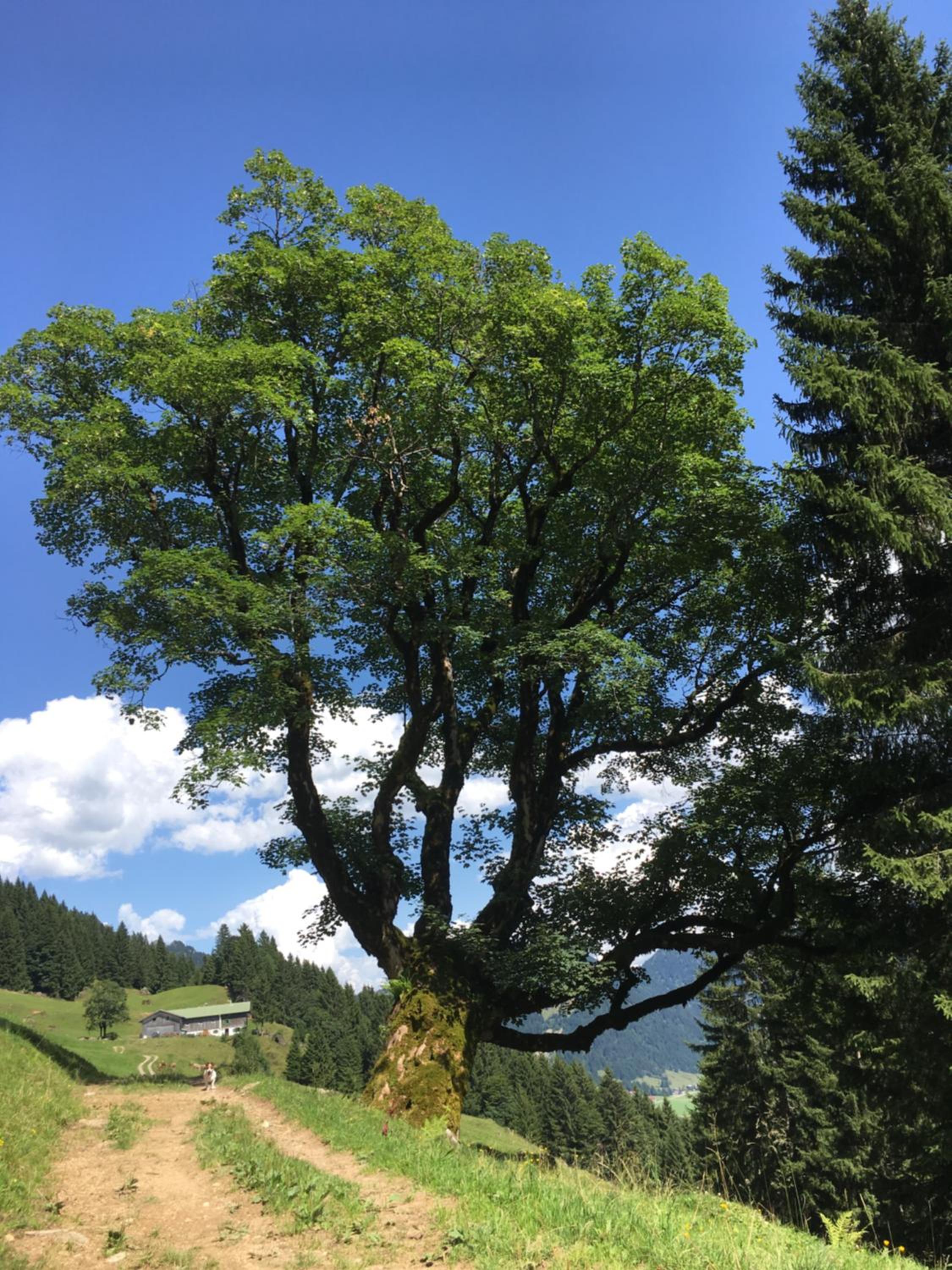 Photo 28