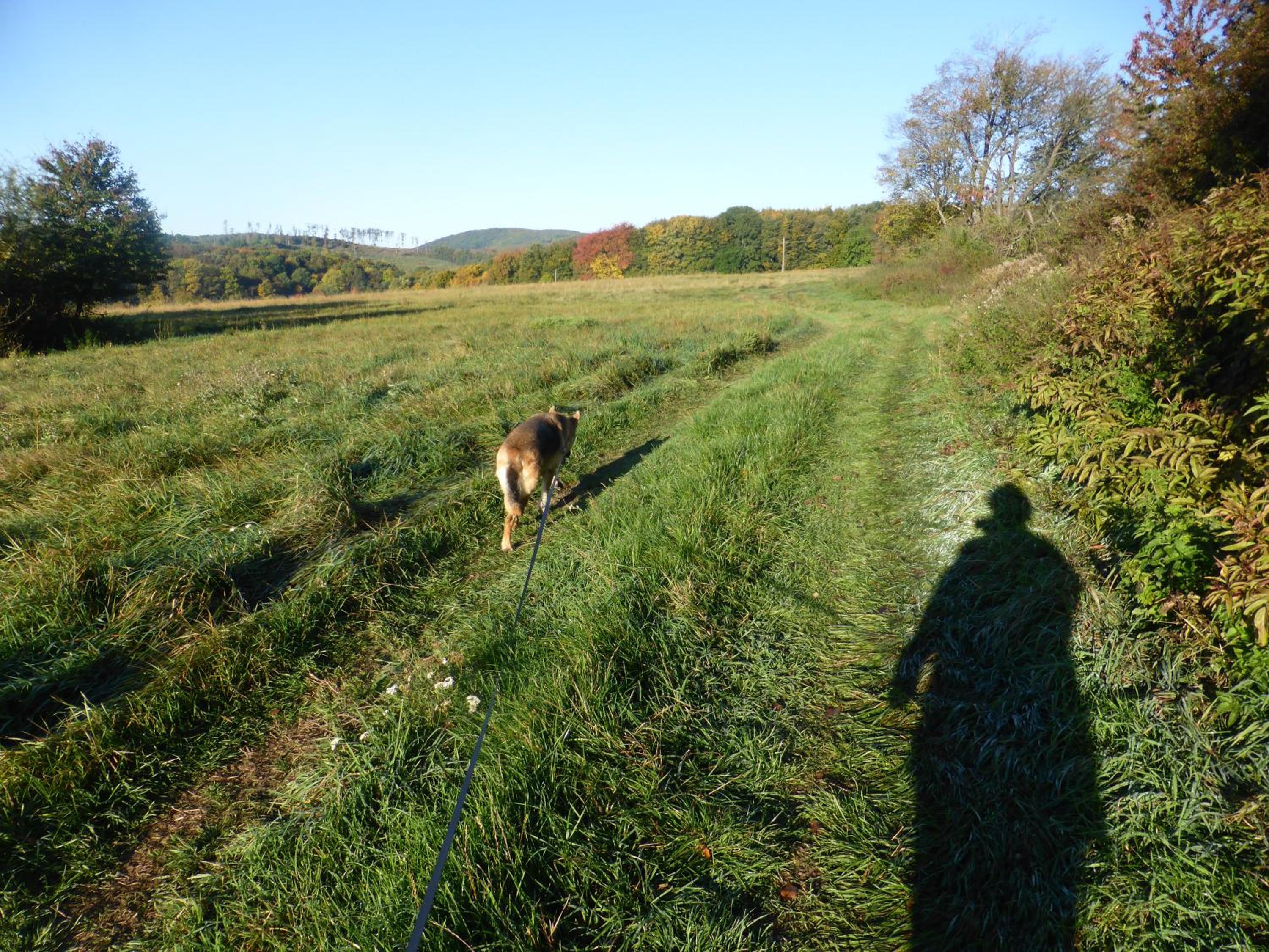 Photo 43