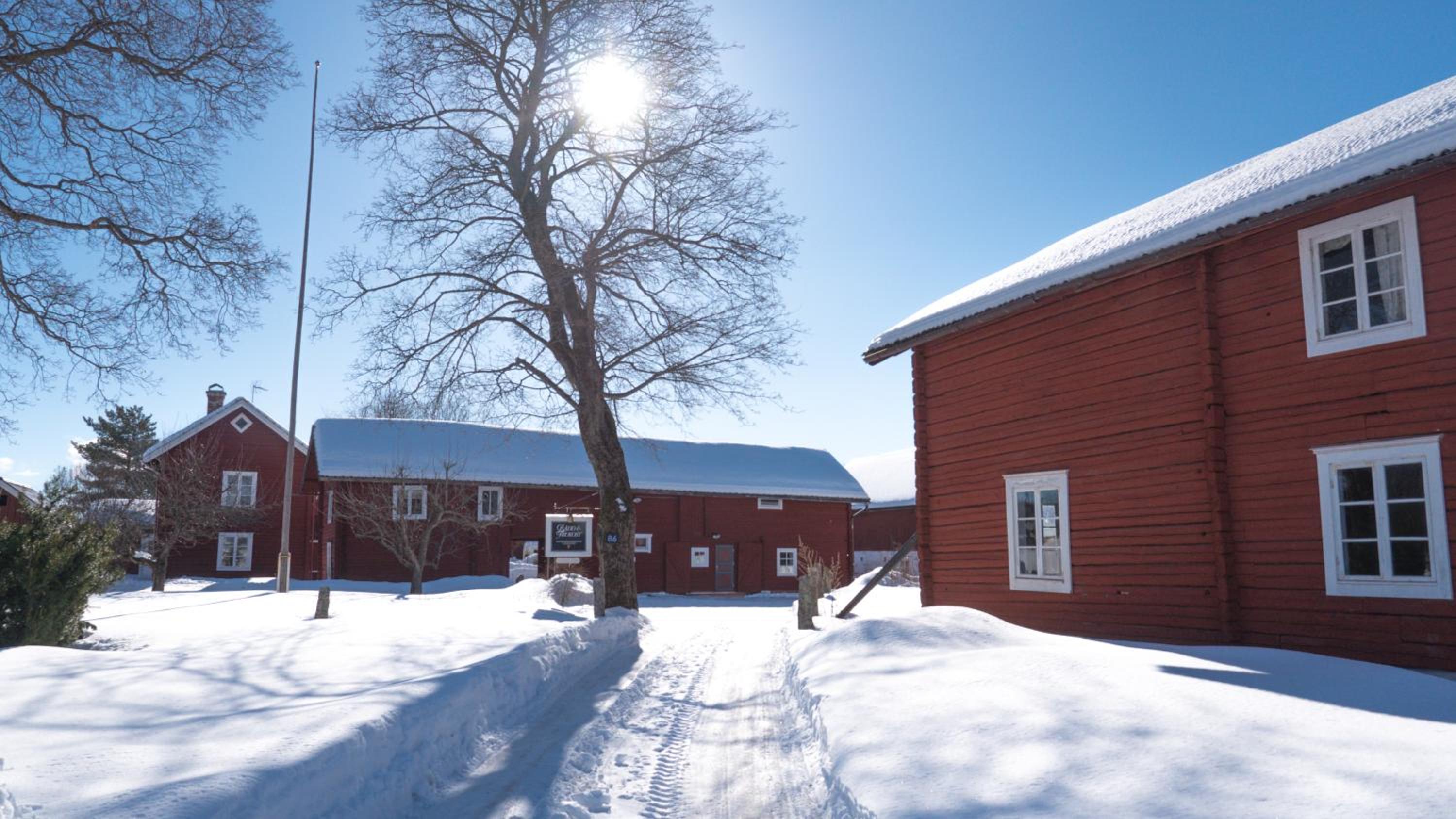 Wikgården B&B view 5