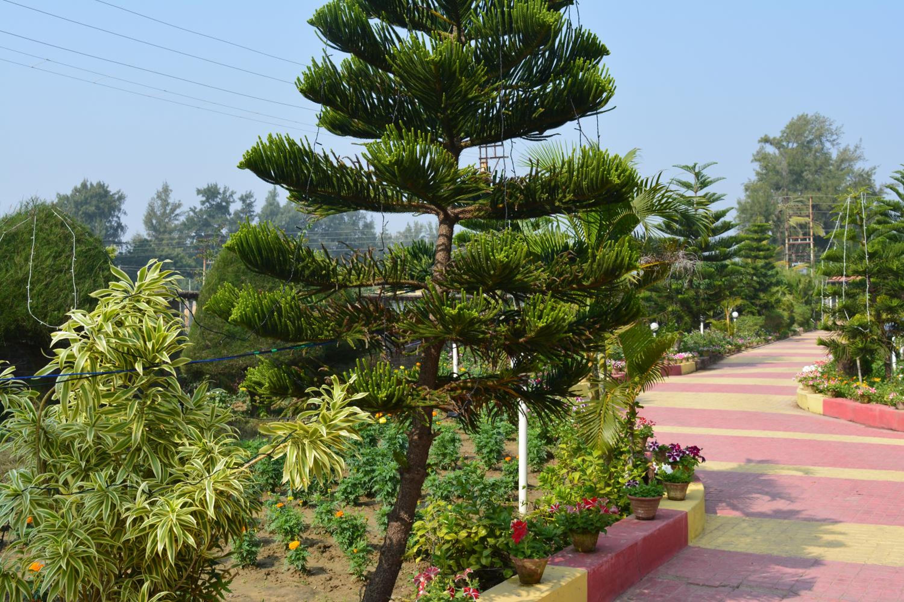 Photo 10