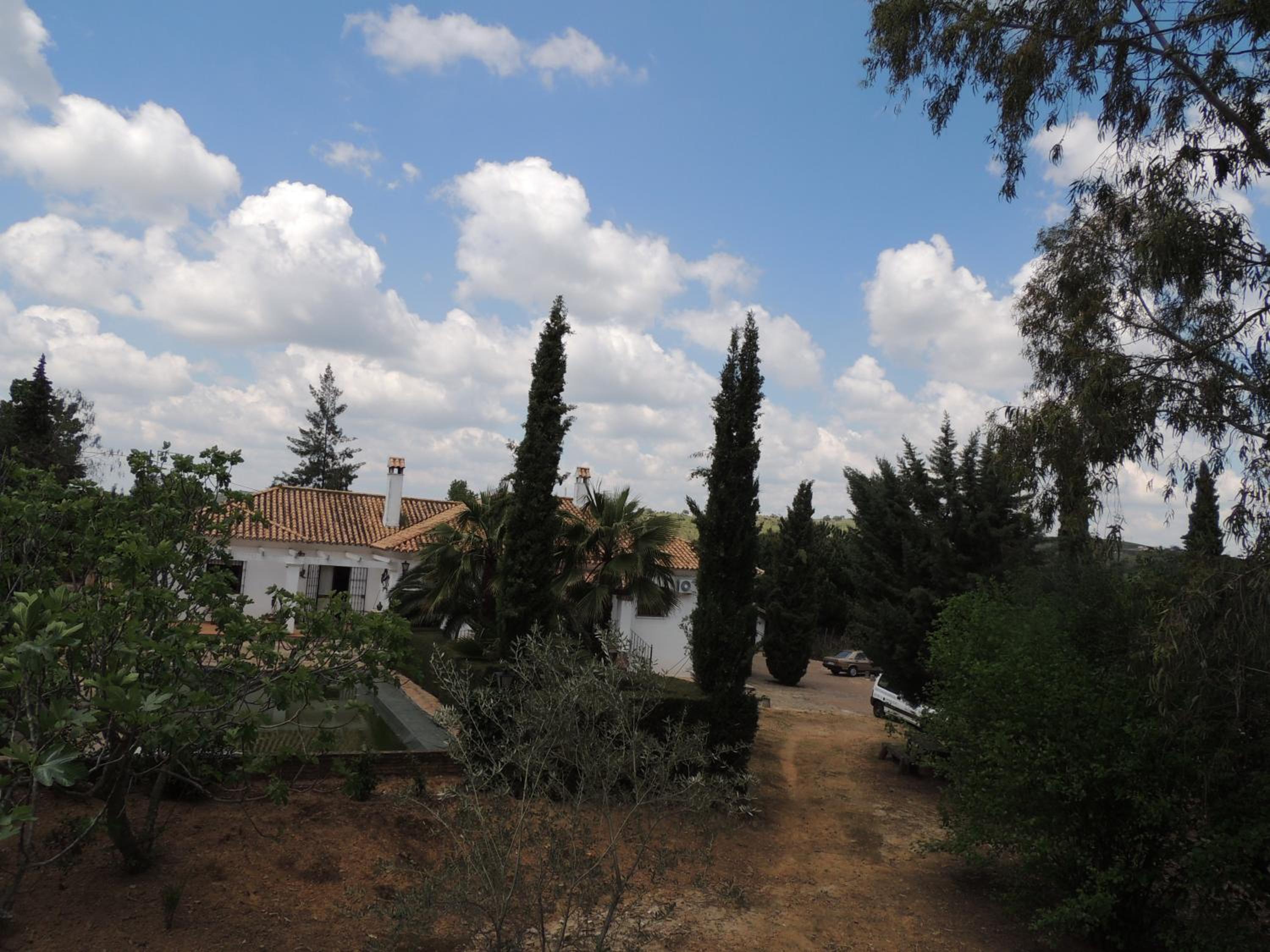 Photo 53