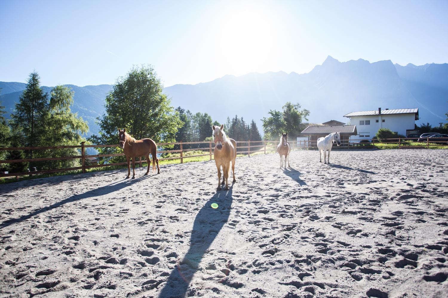Ferienhaus Oetztal