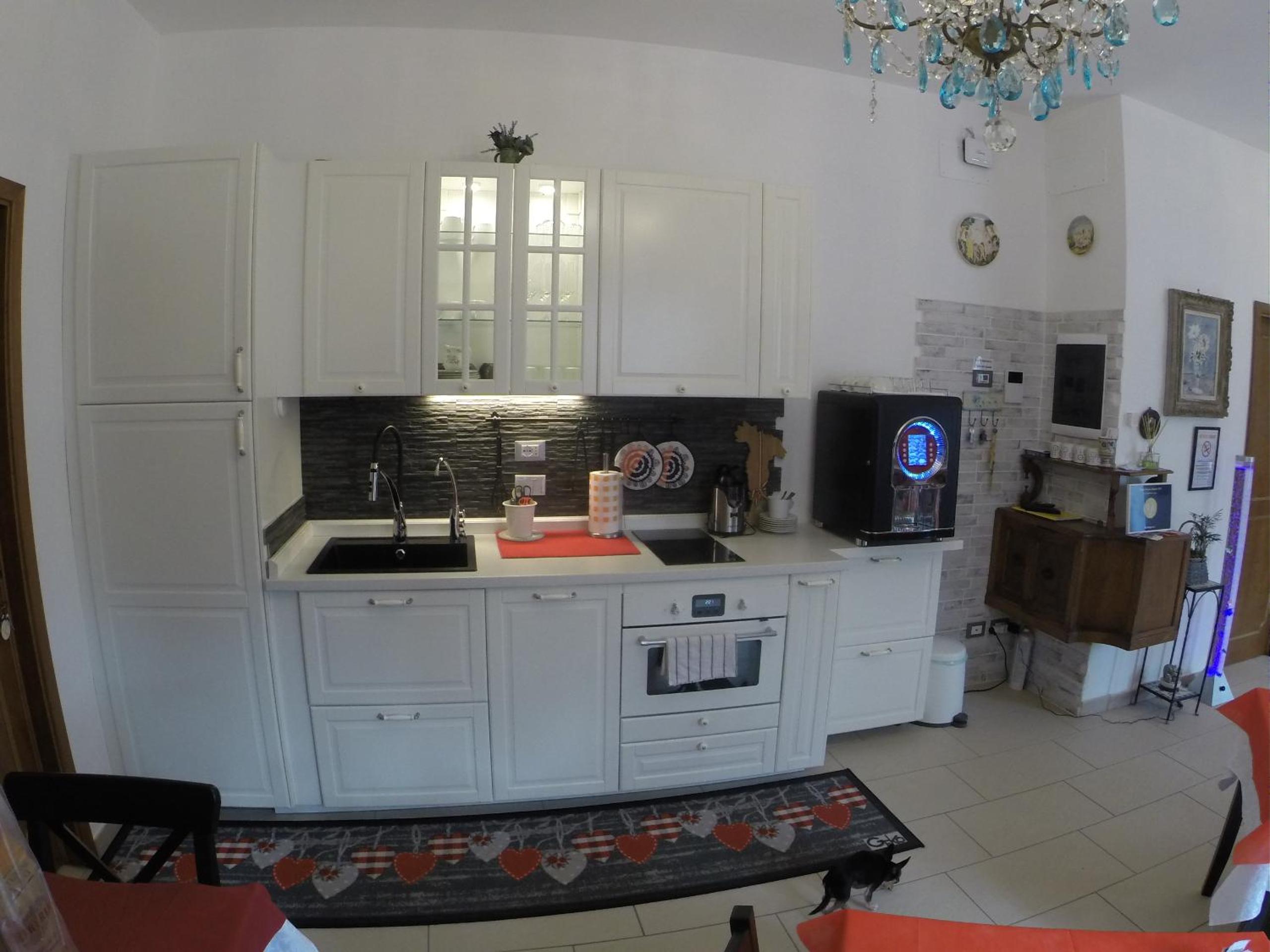 Photo 46