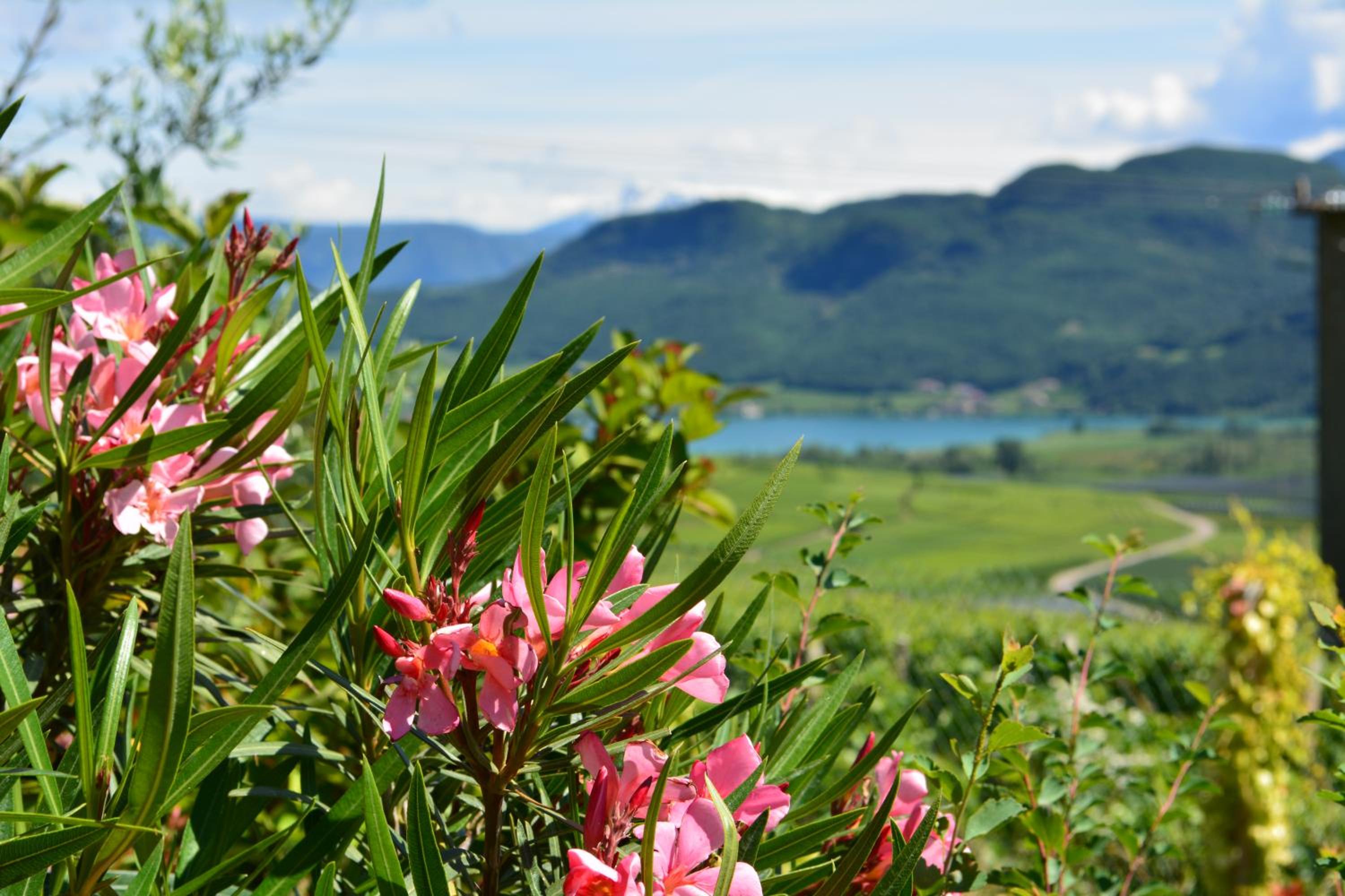 Unterstoan Hof view 4