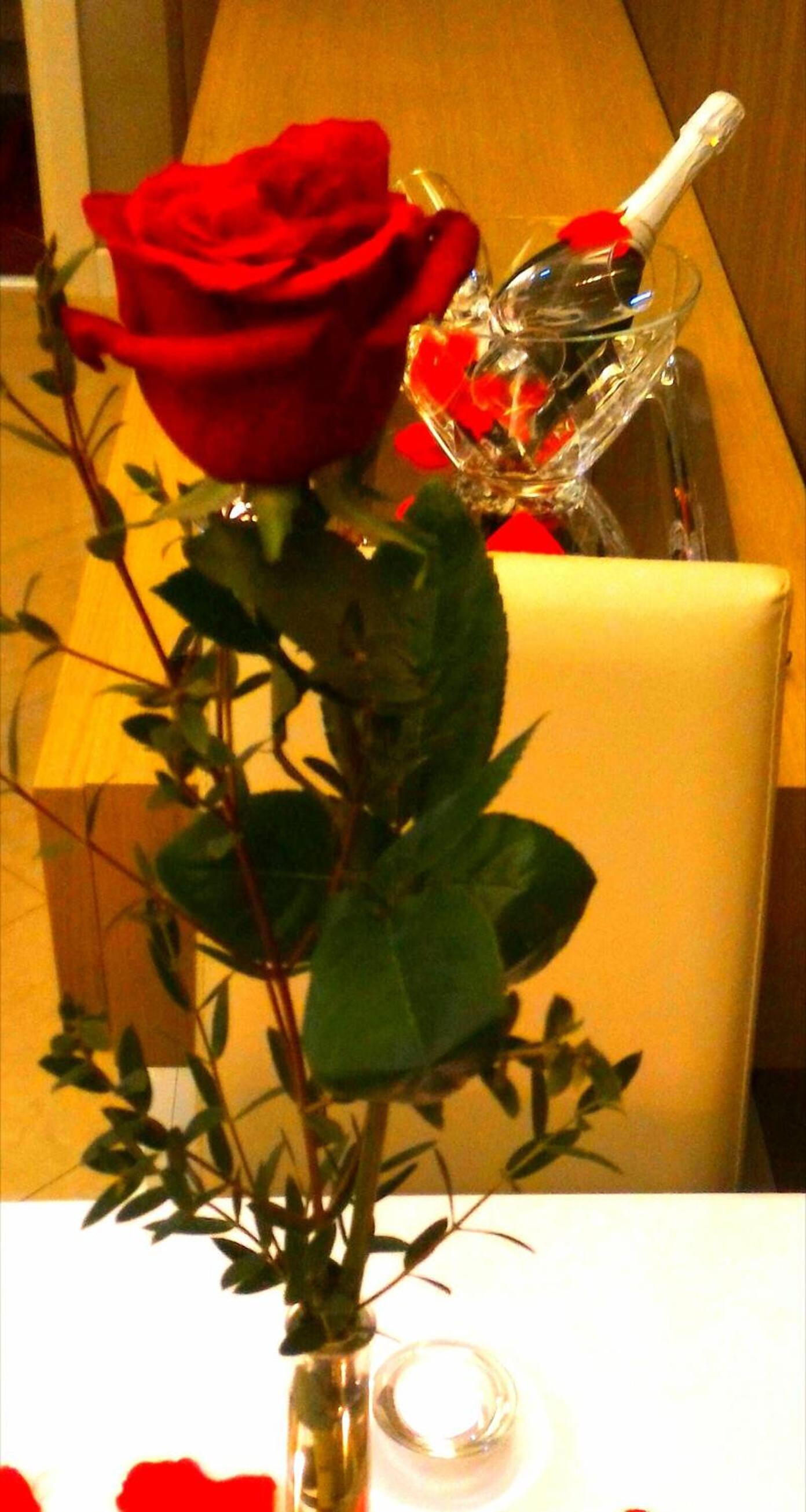Photo 45