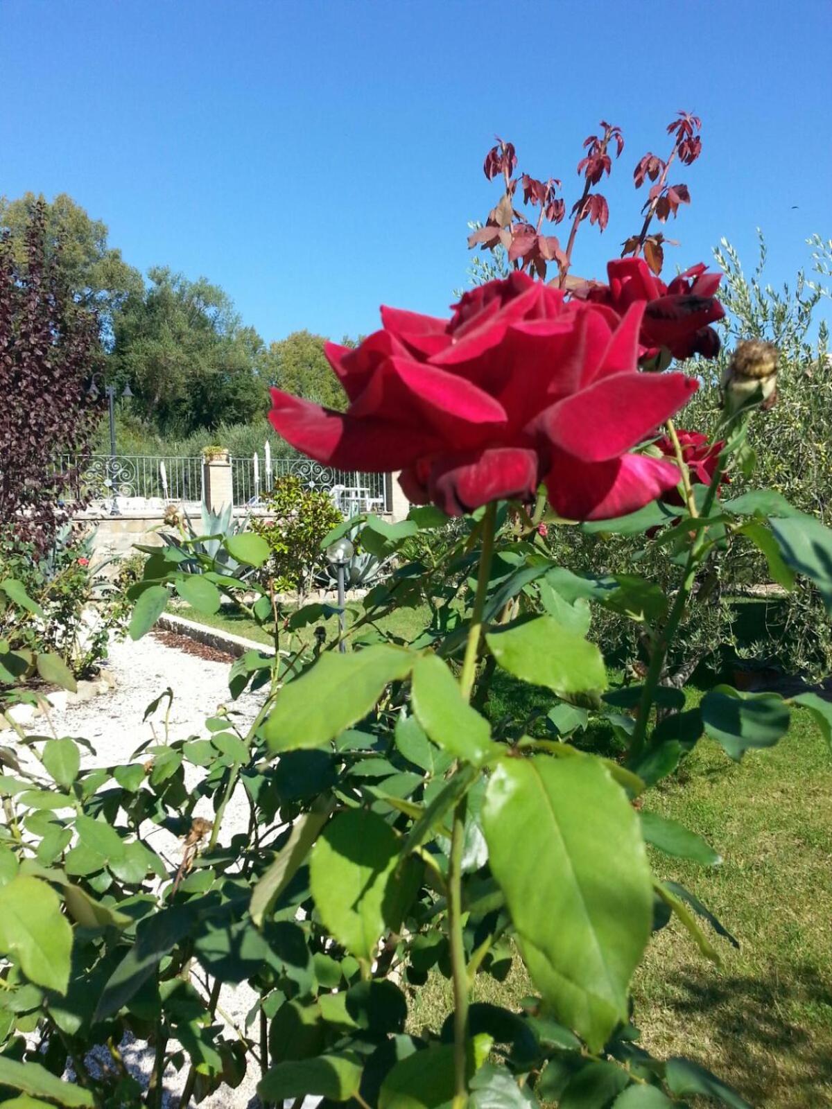 Photo 33
